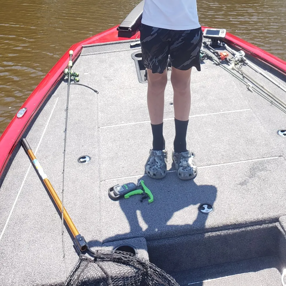 angler catch