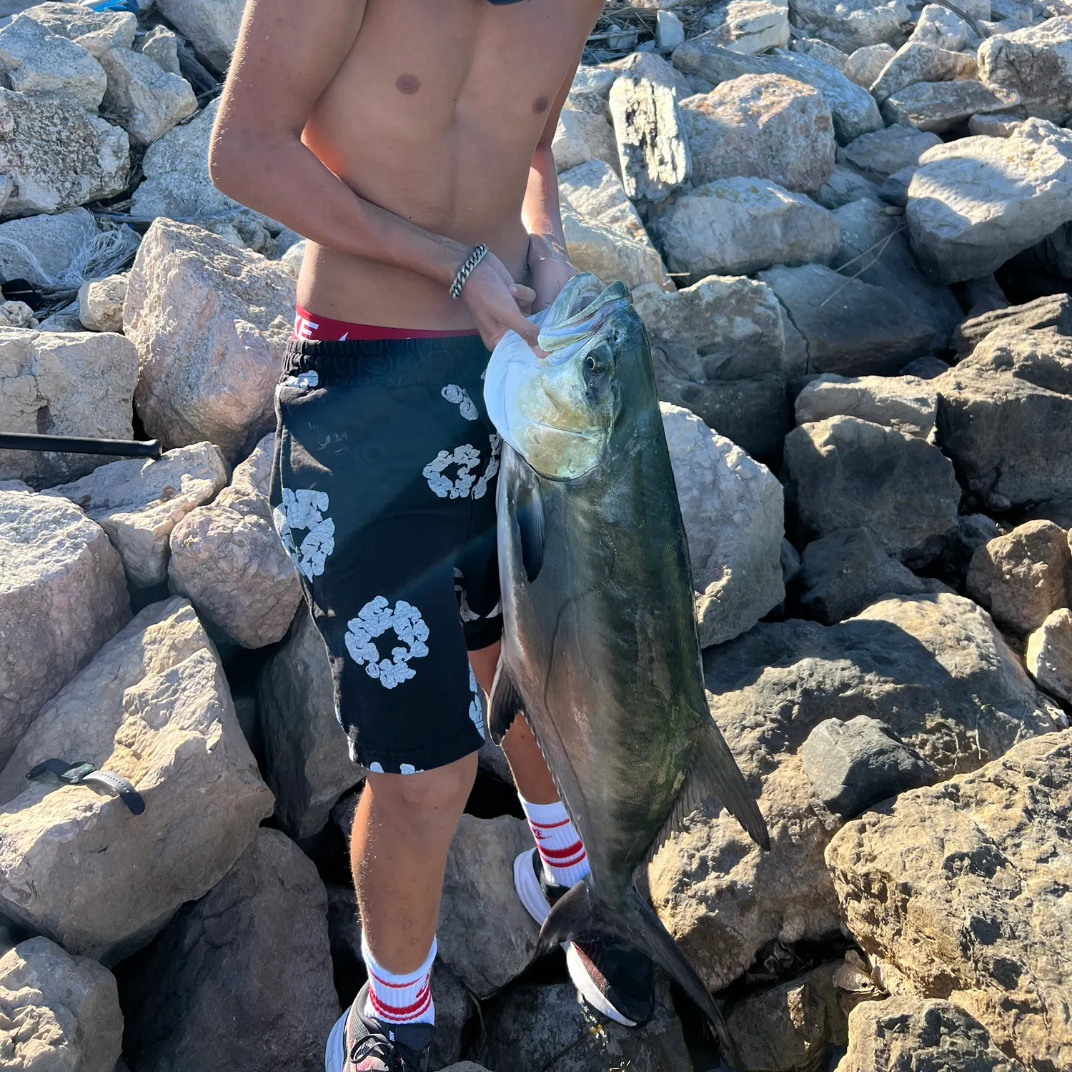 The most recent Leerfish catches on Fishbrain