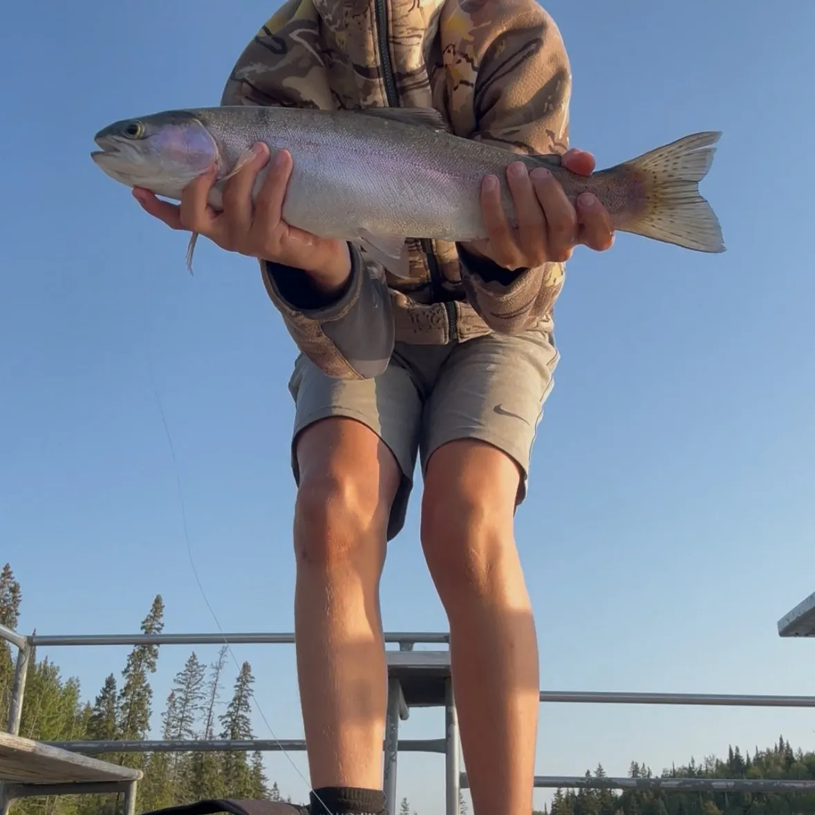 Rainbow trout caught on Fishbrain