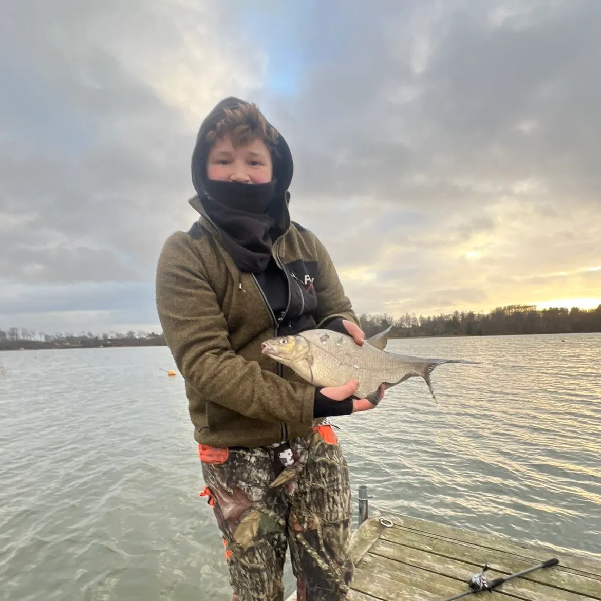 The most recent Common bream catches on Fishbrain