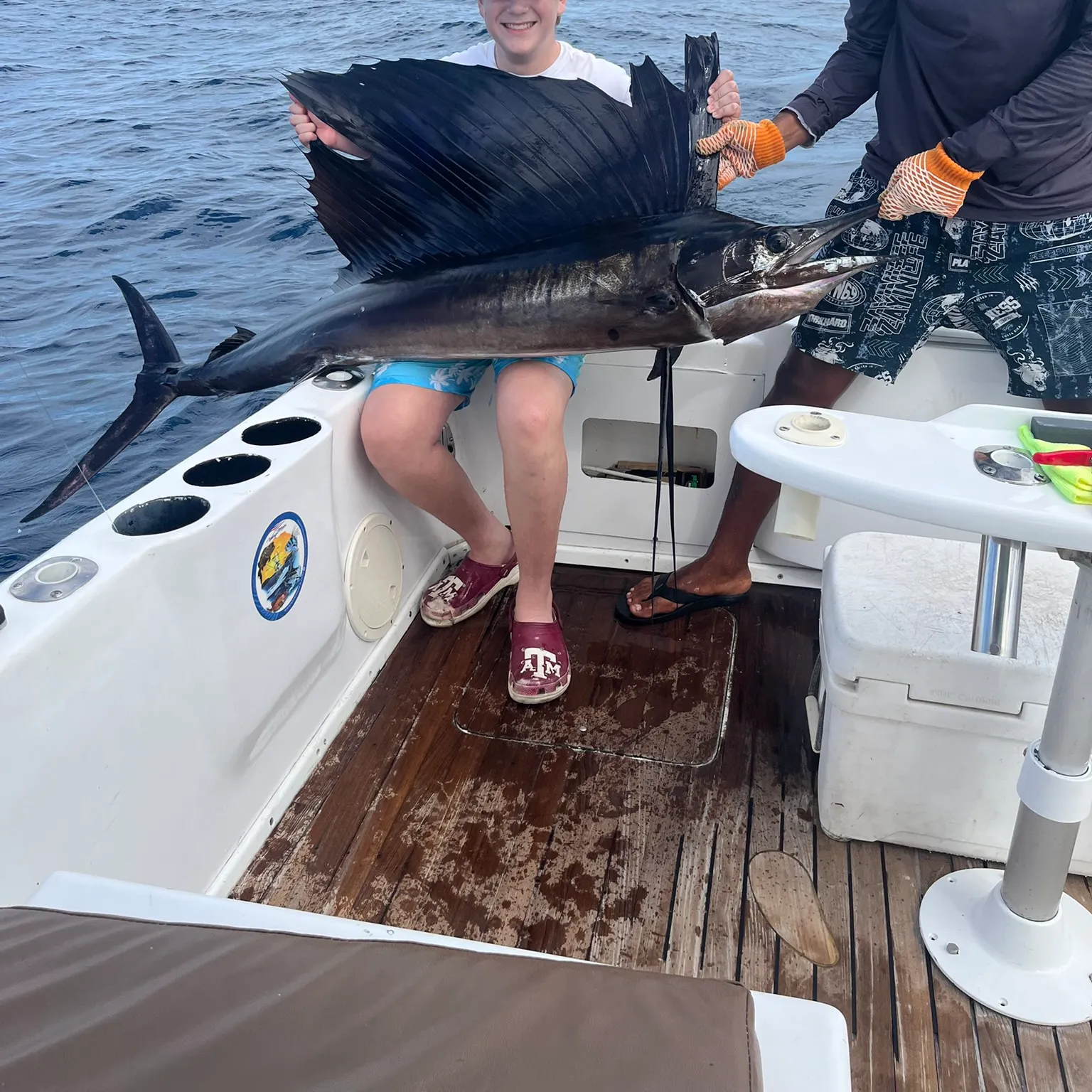 The most recent Indo-Pacific sailfish catches on Fishbrain