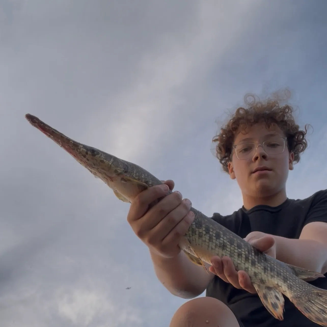 The most recent Spotted gar catches on Fishbrain