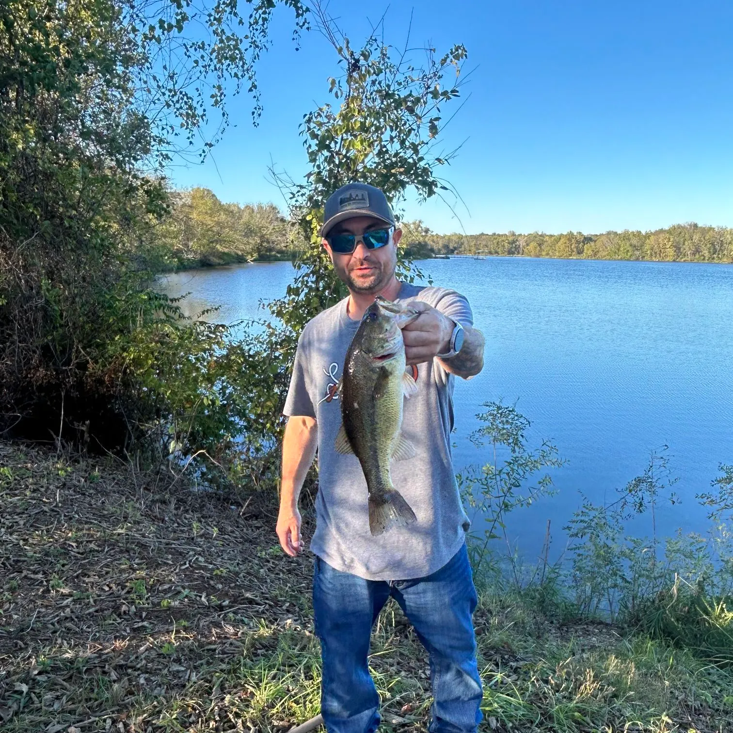 Largemouth bass caught on Fishbrain