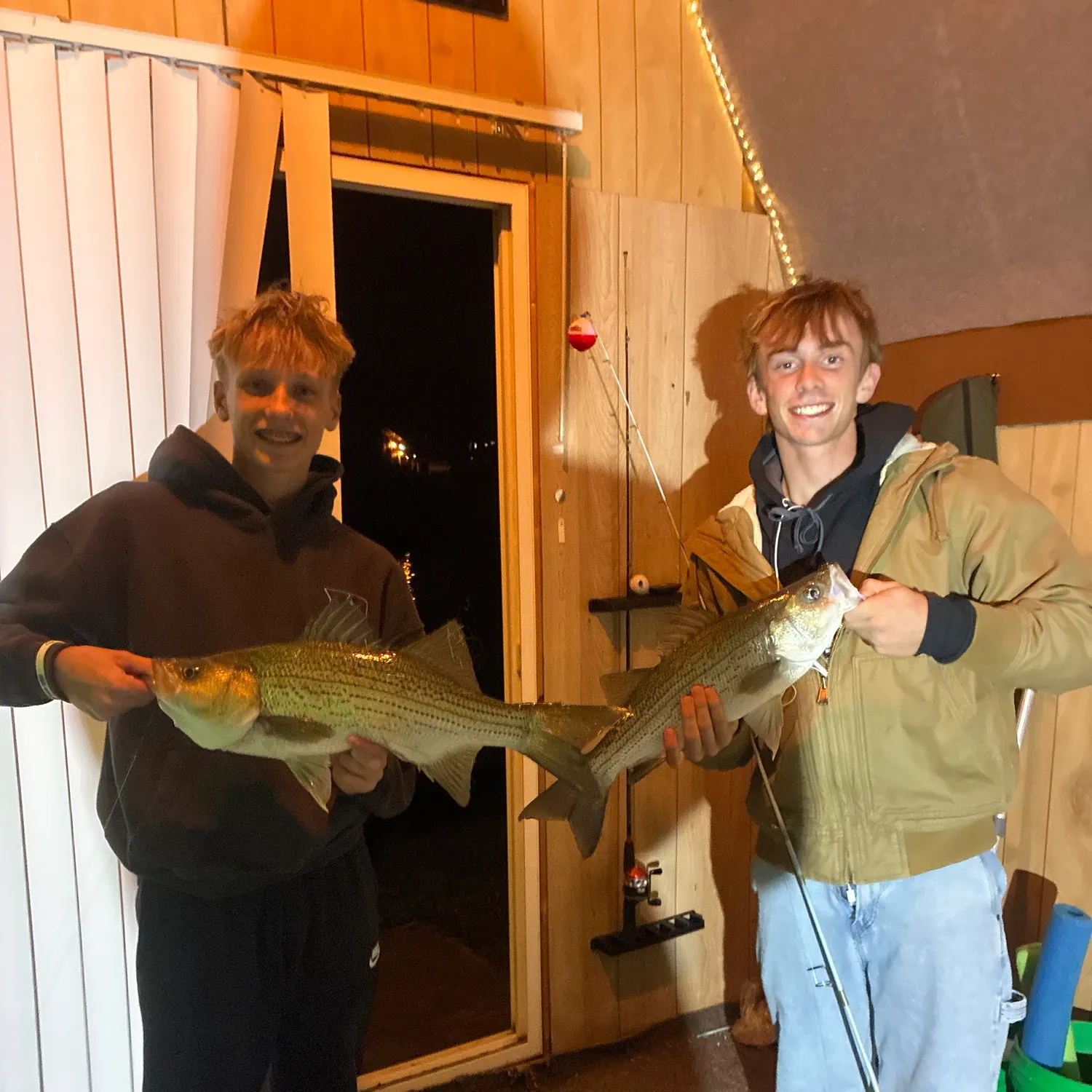 Striped bass caught on Fishbrain