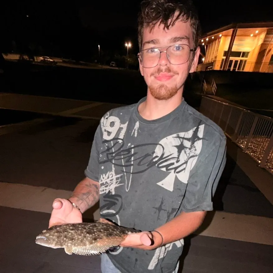 Summer flounder caught on Fishbrain
