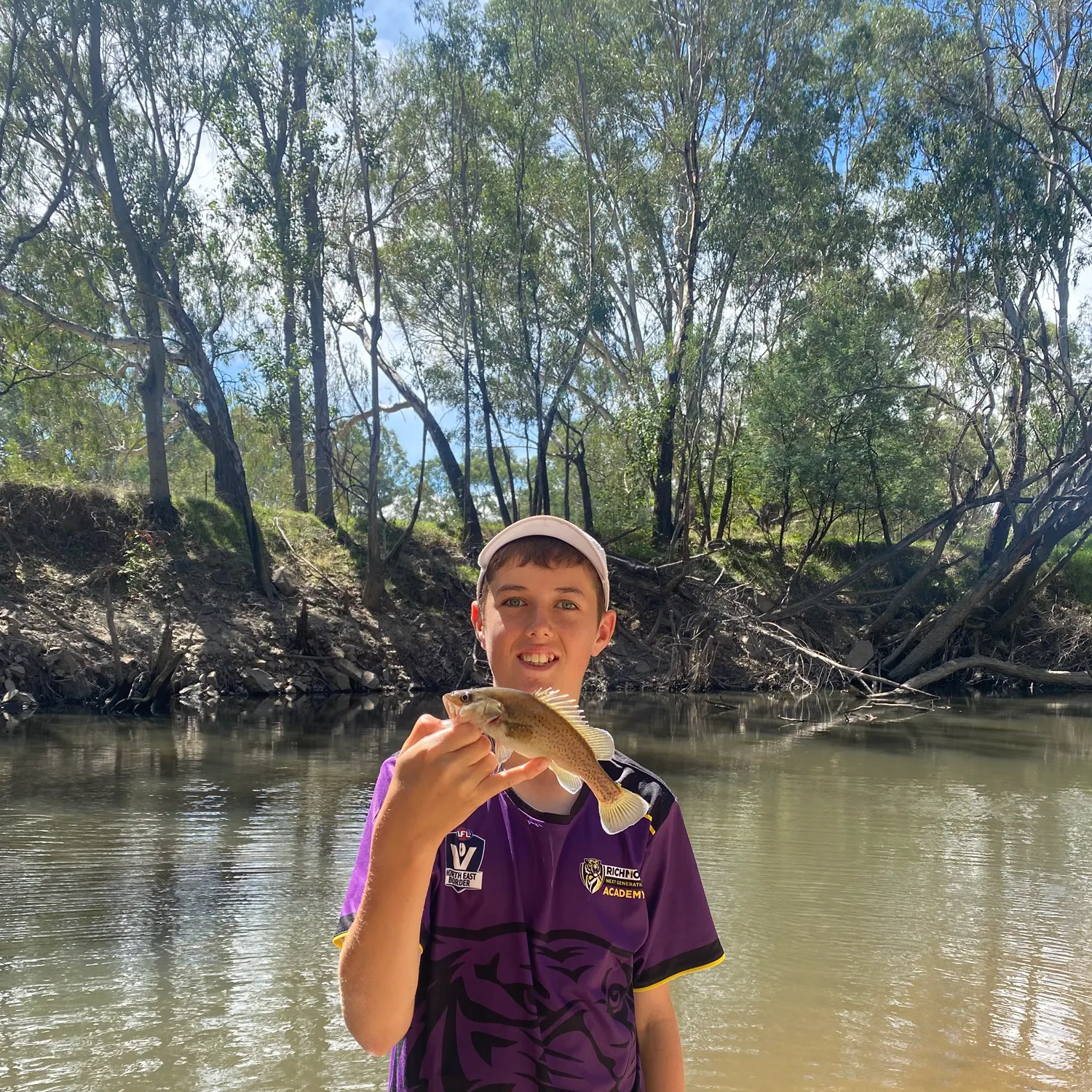 The most recent Trout cod catches on Fishbrain