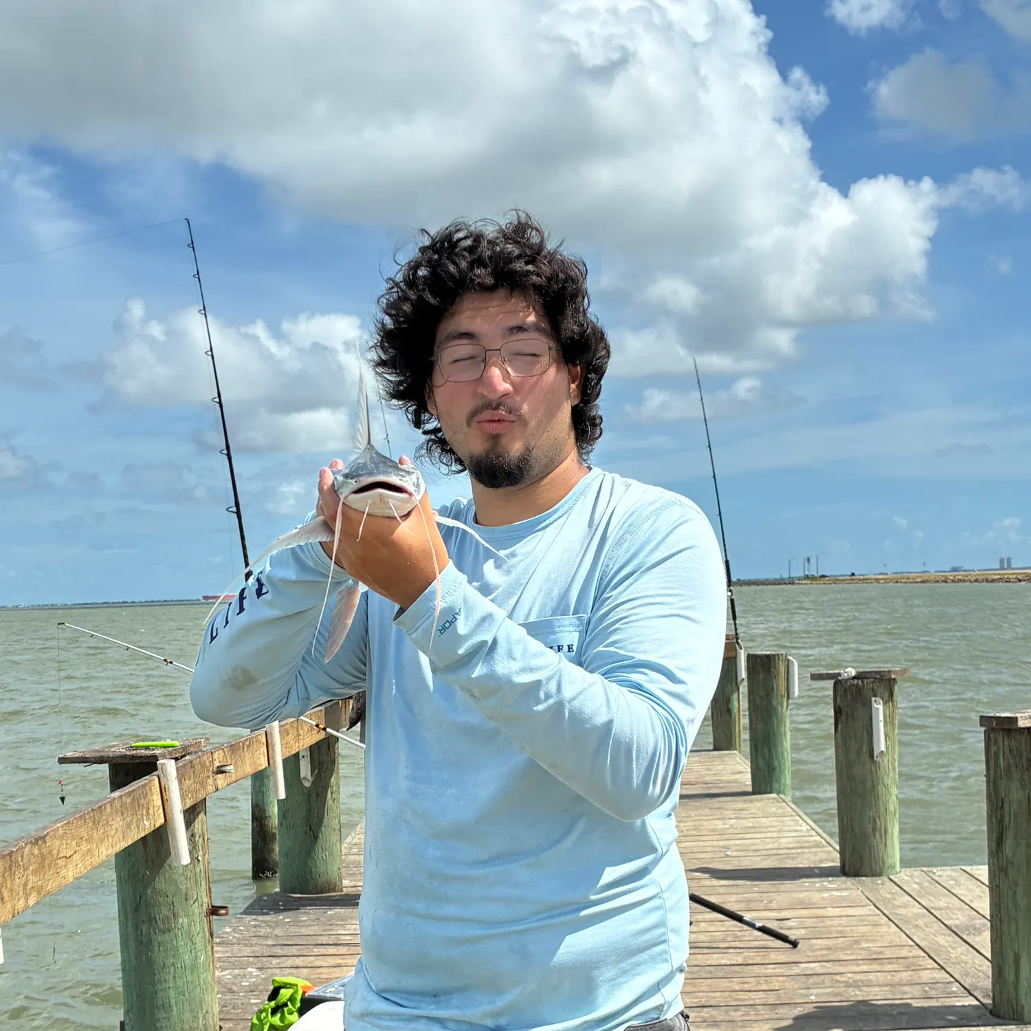 Gafftopsail sea catfish caught on Fishbrain