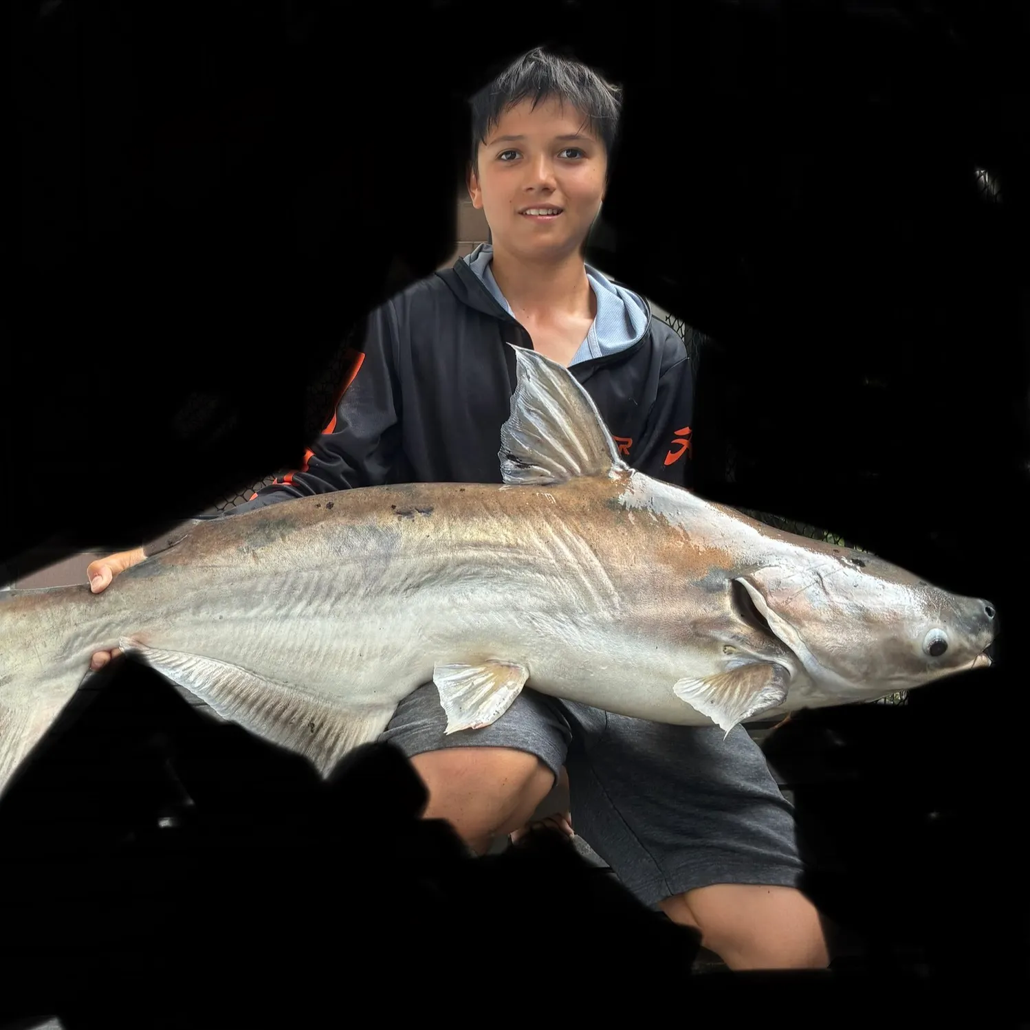 The most recent Mekong giant catfish catches on Fishbrain