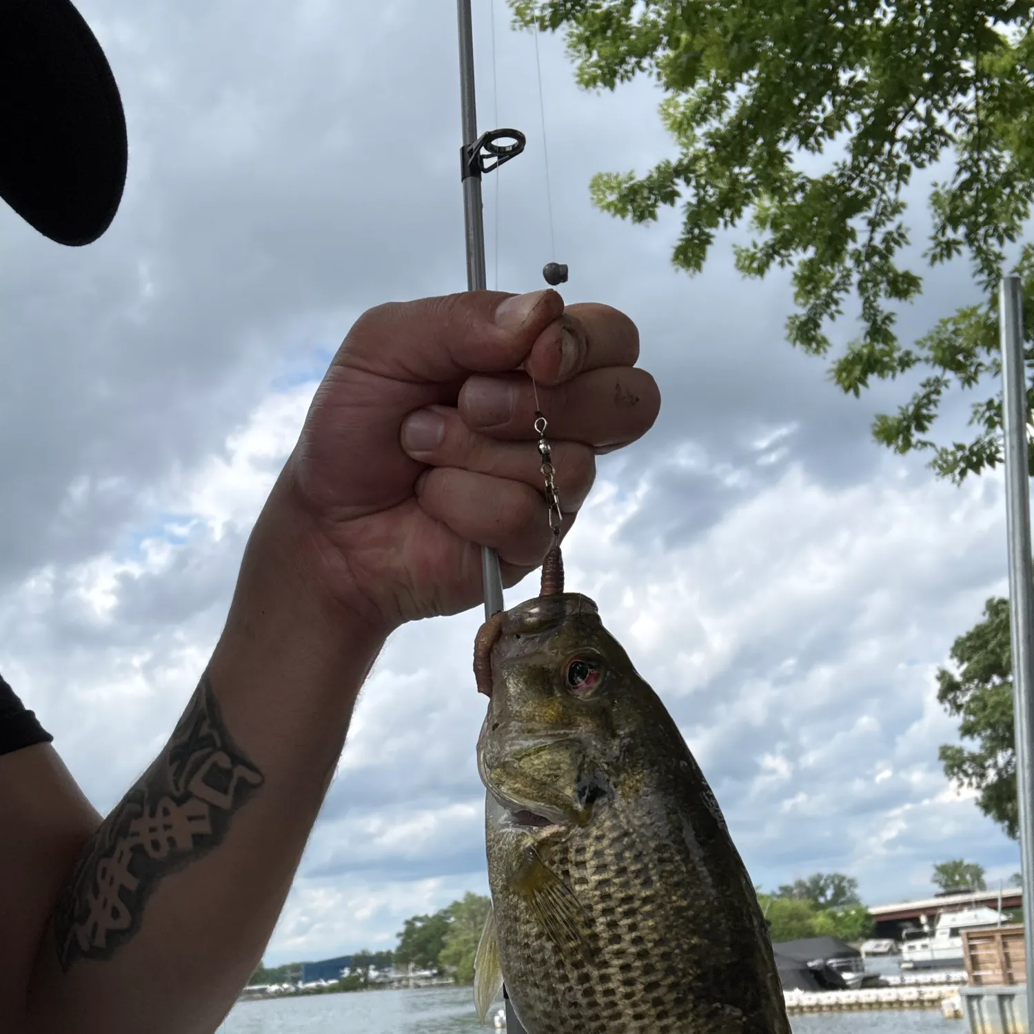 catch