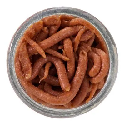 Earthworm