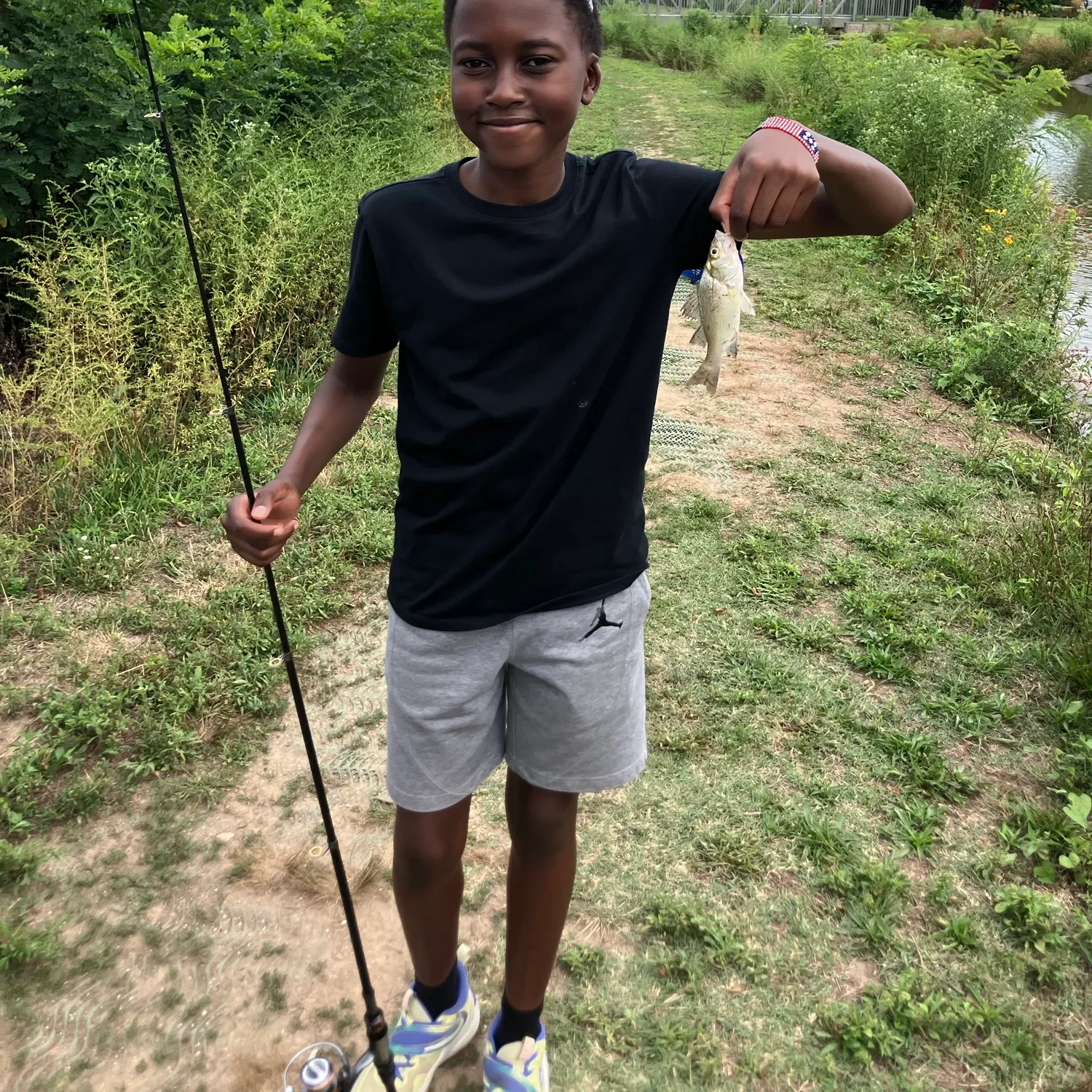 White perch caught on Fishbrain
