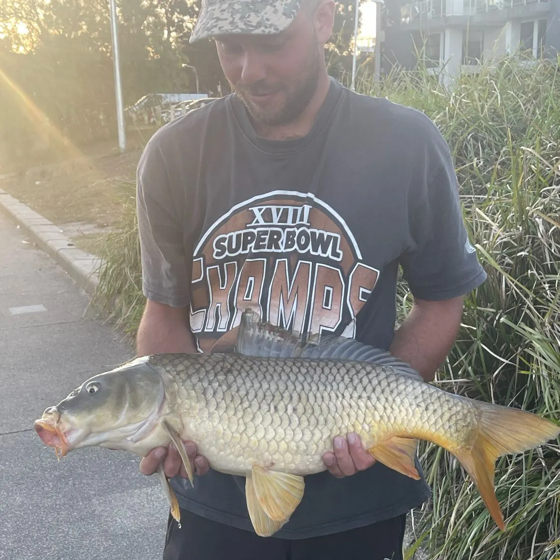 Common carp caught on Fishbrain