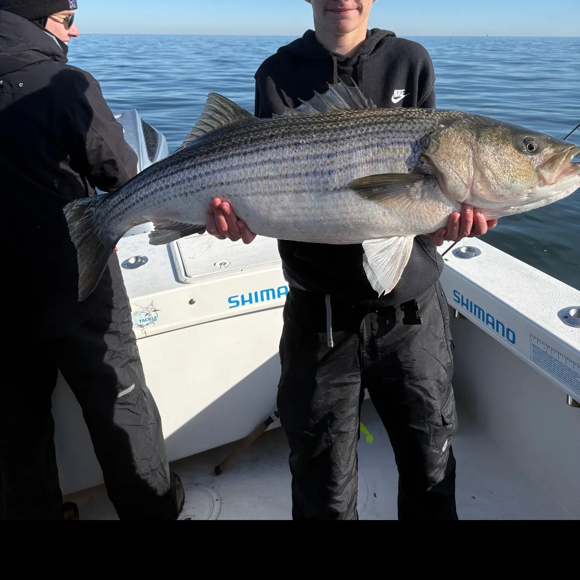 The most recent Striped bass catches on Fishbrain