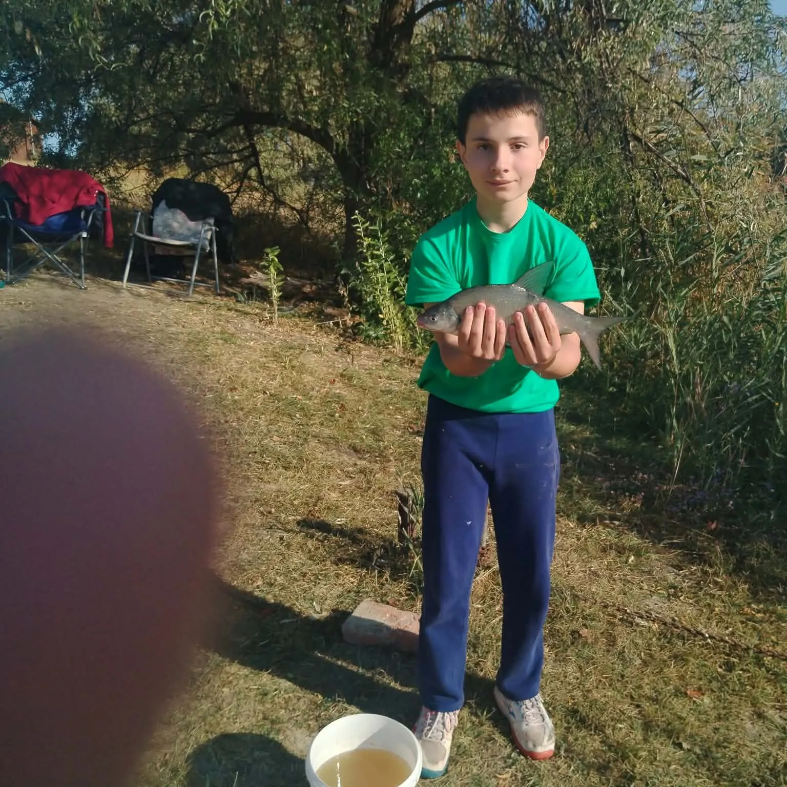 The most recent Crucian carp catches on Fishbrain