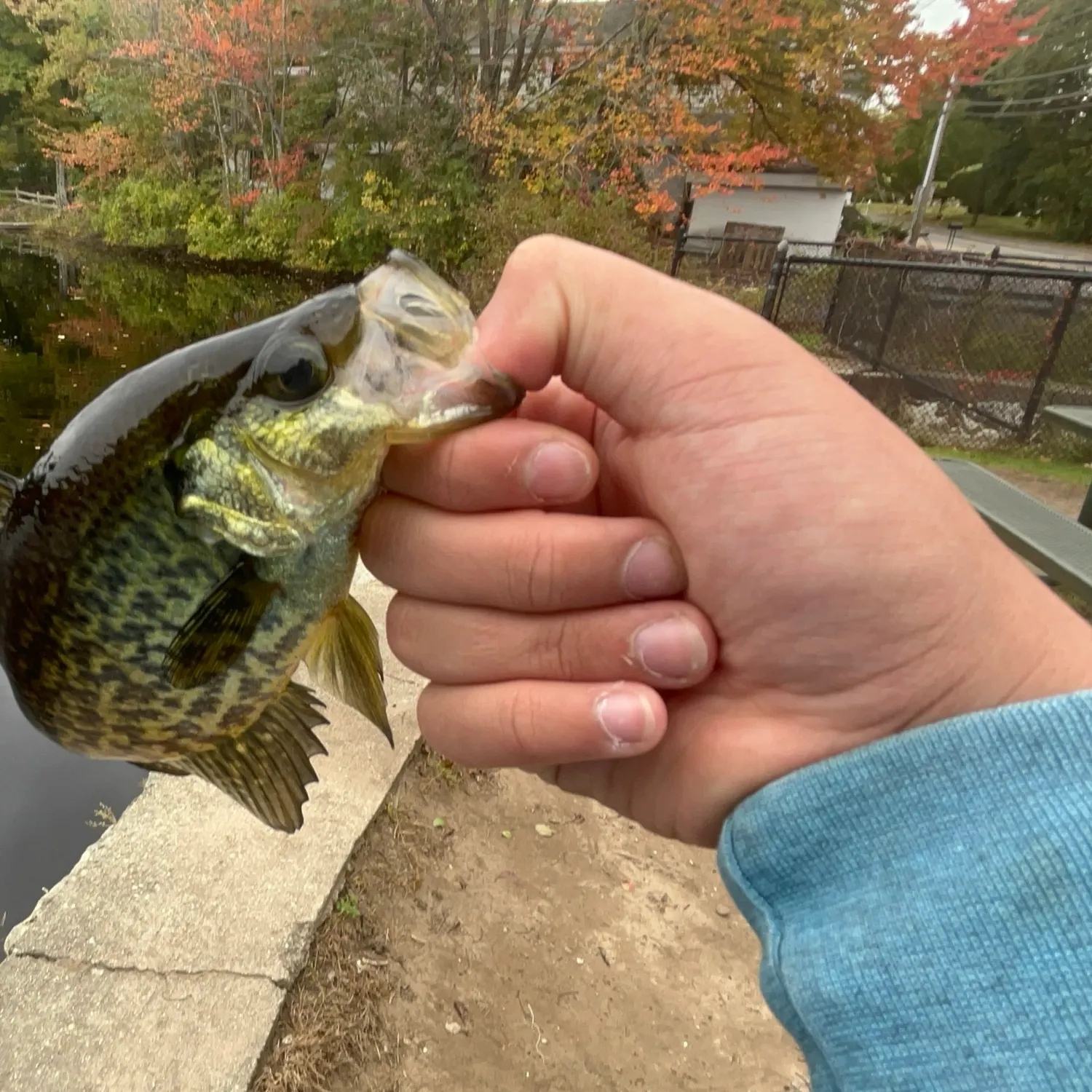 catch