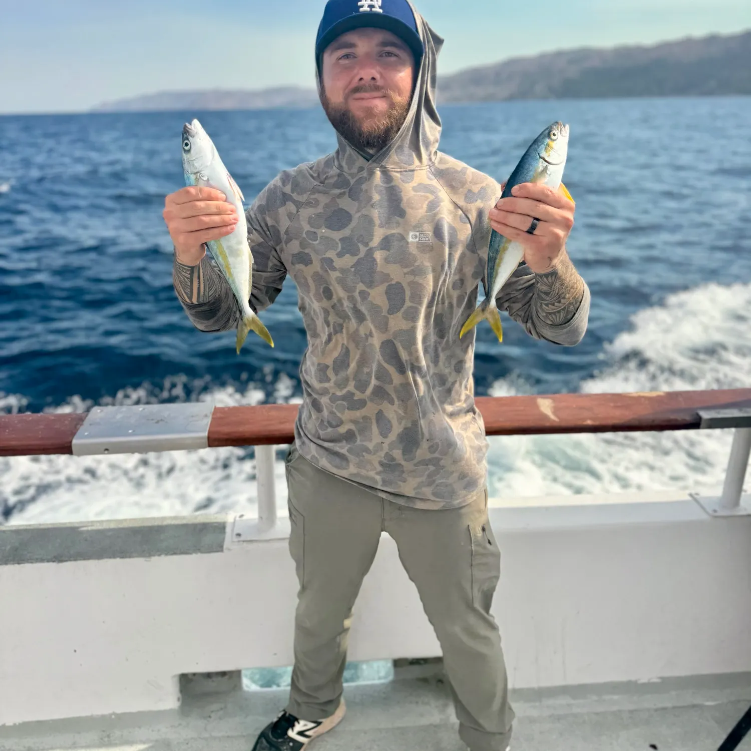 California yellowtail amberjack caught on Fishbrain