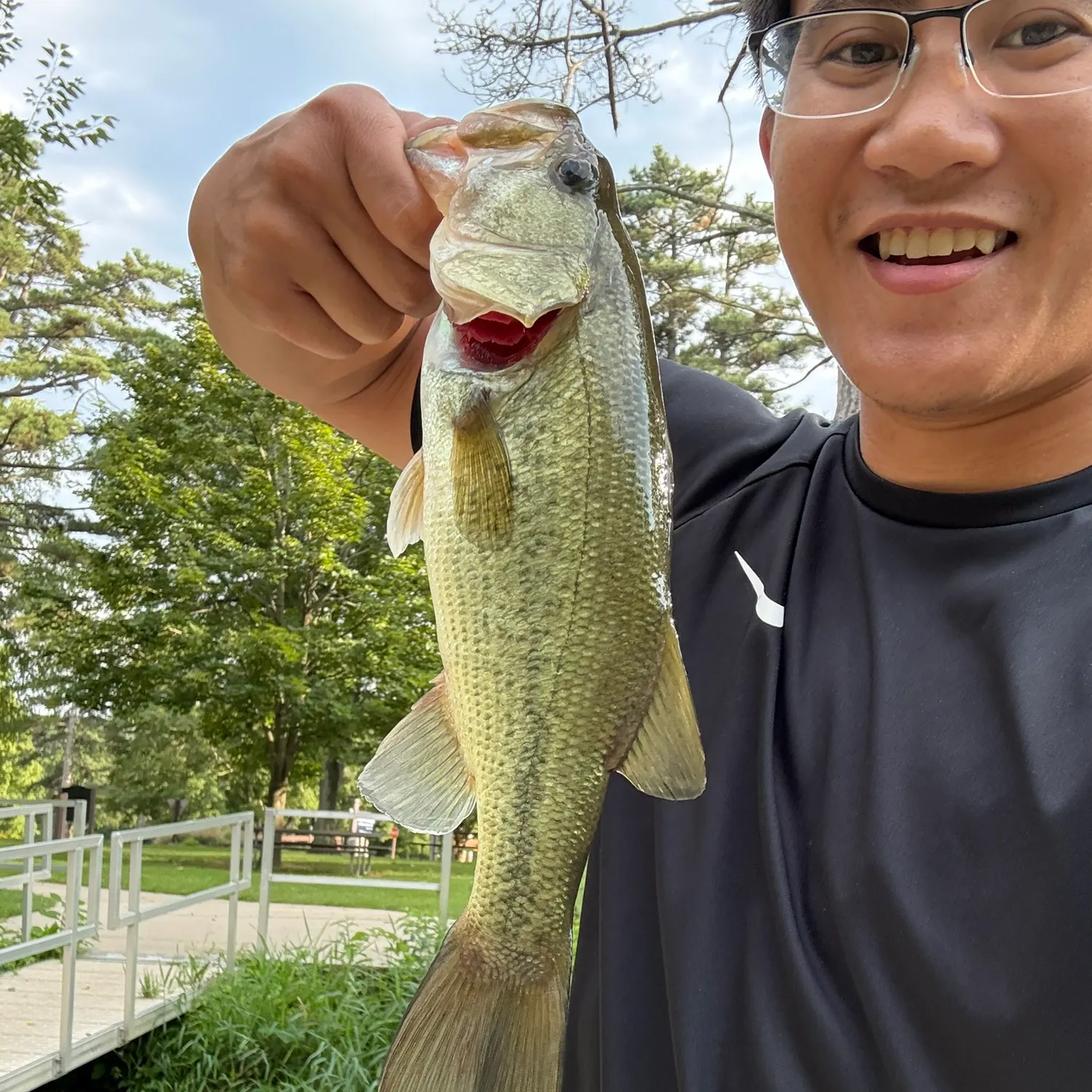 Largemouth bass caught on Fishbrain