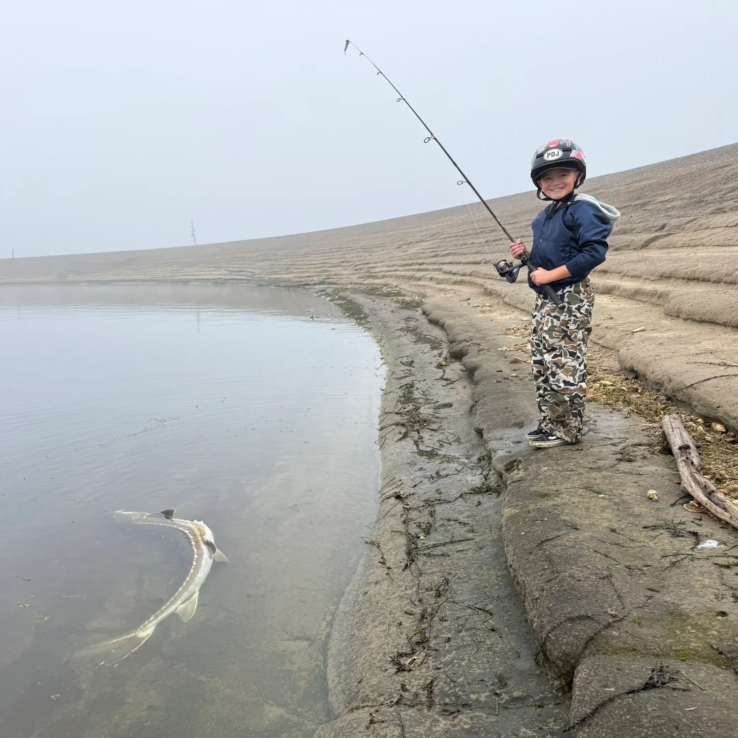 The most recent Green sturgeon catches on Fishbrain