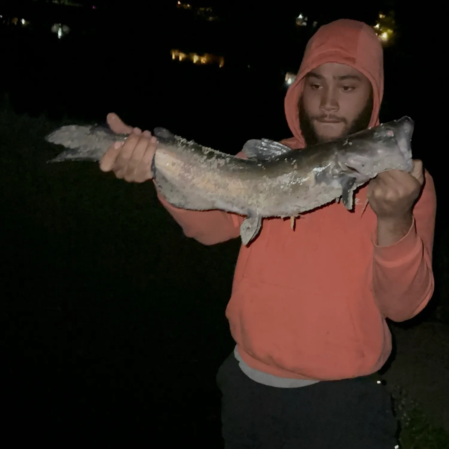 Channel catfish caught on Fishbrain