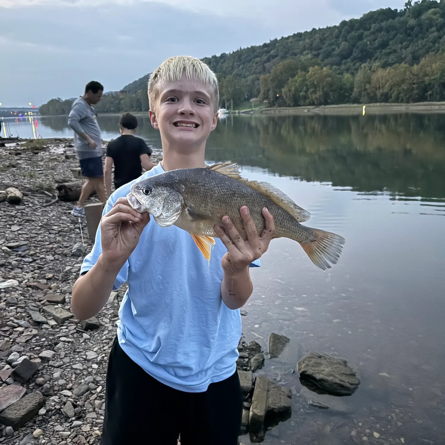 Freshwater drum caught on Fishbrain