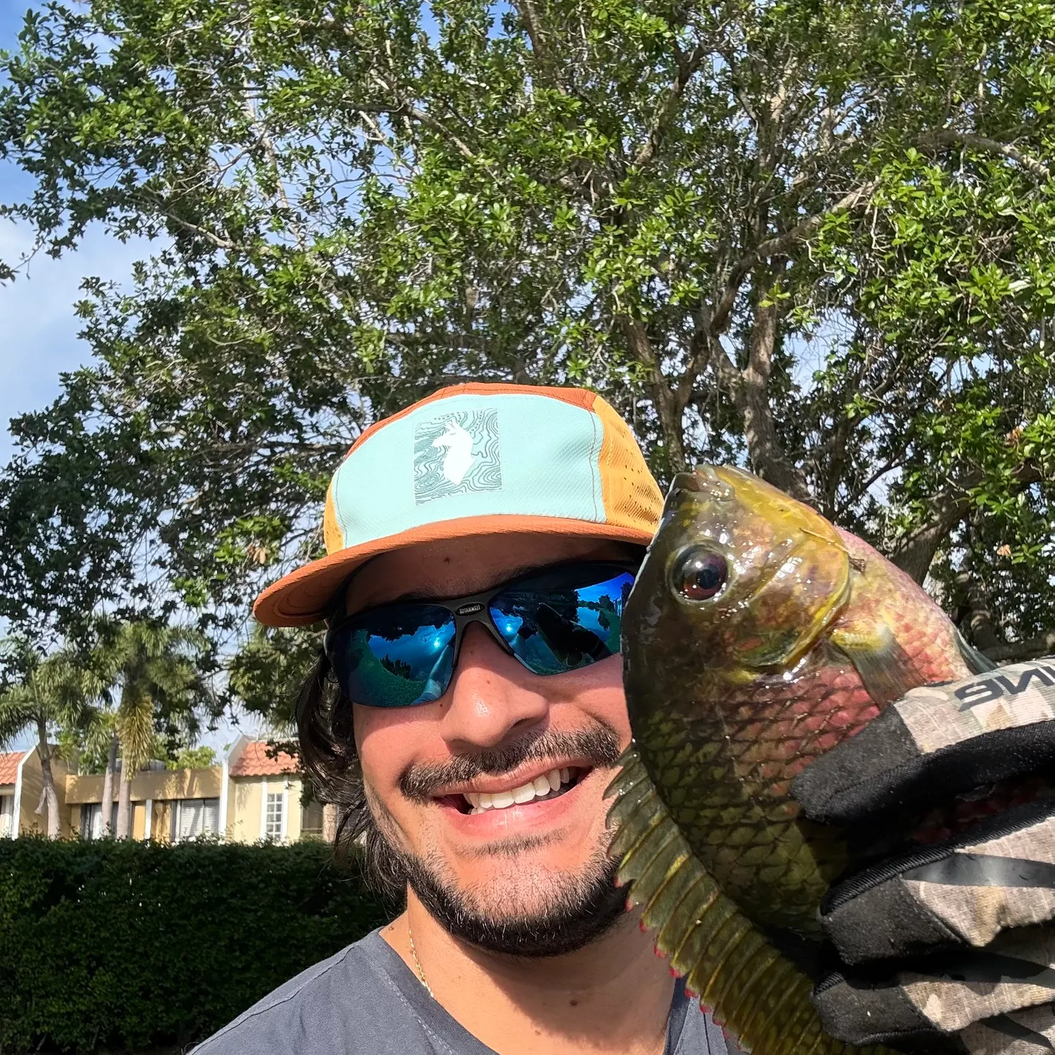 The most recent Spotted tilapia catches on Fishbrain