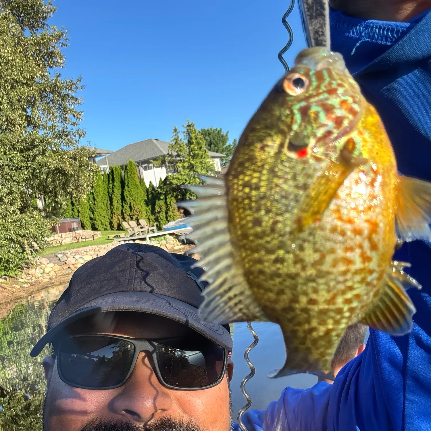 The most recent Pumpkinseed x green sunfish catches on Fishbrain