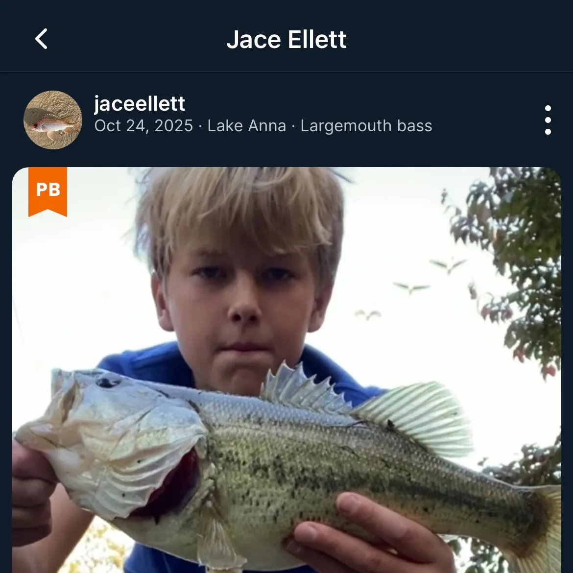 recently logged catches