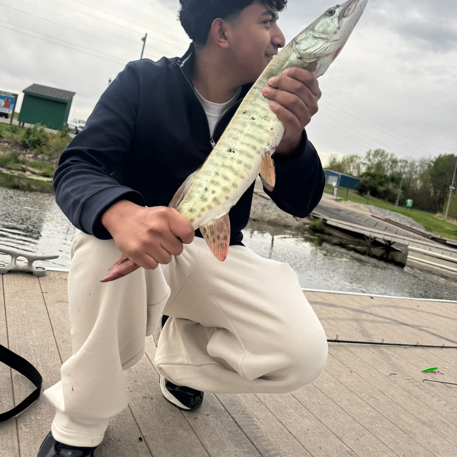 The most recent Muskellunge catches on Fishbrain