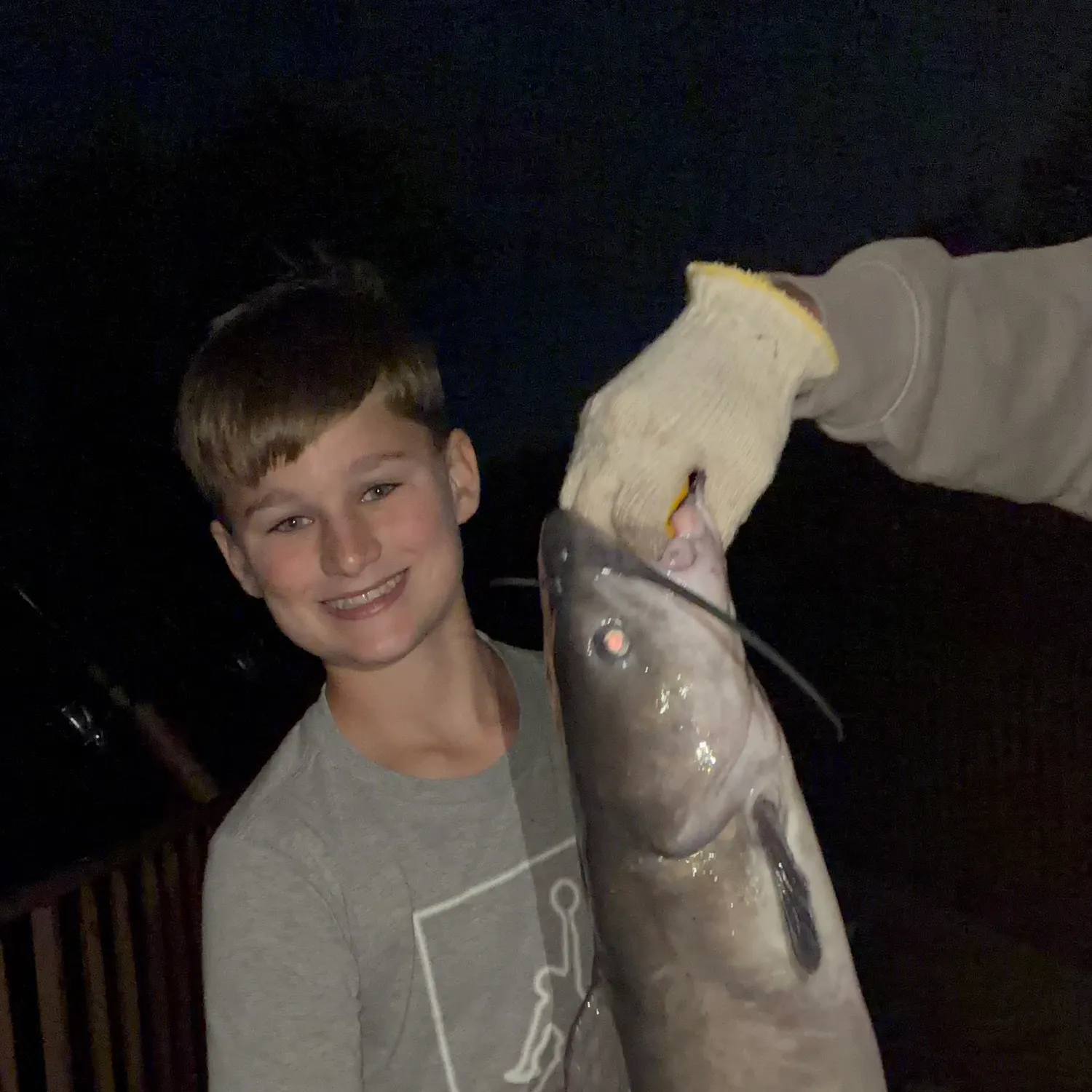 Channel catfish caught on Fishbrain