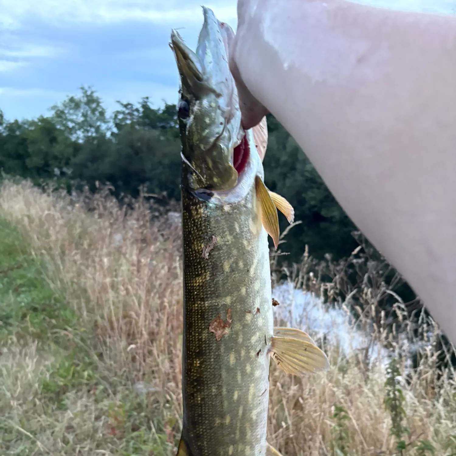 catch