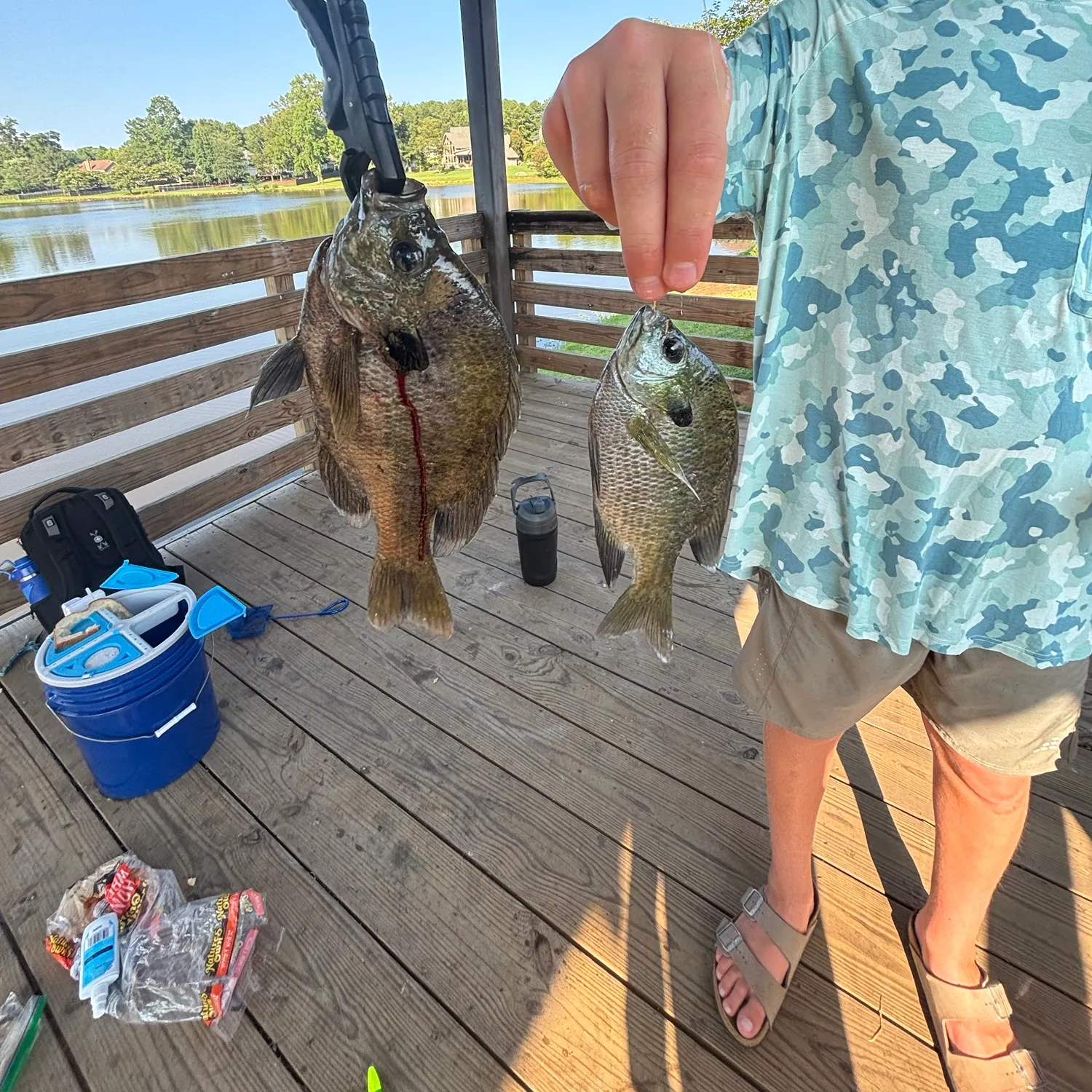 recently logged catches