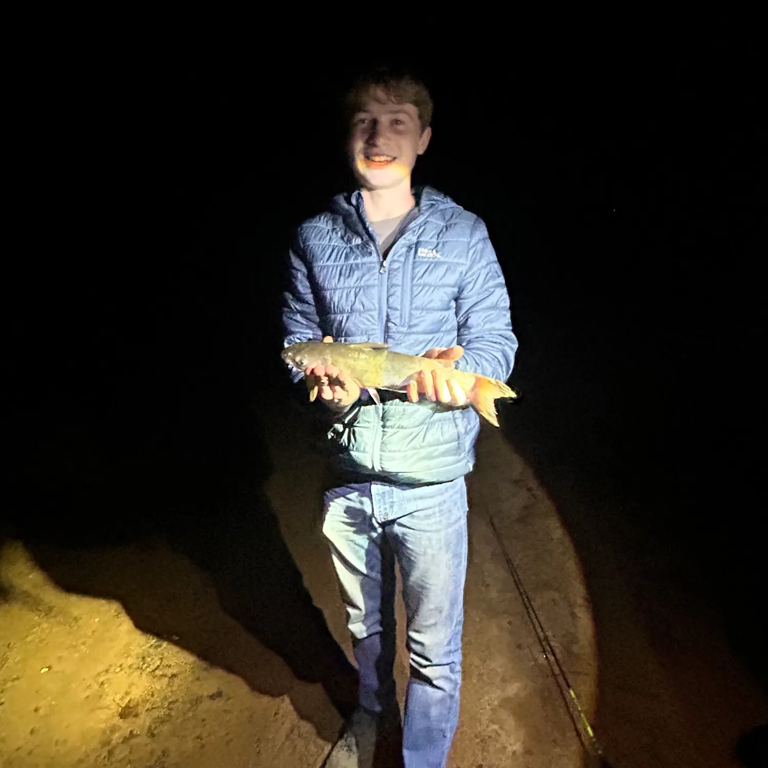 Channel catfish caught on Fishbrain
