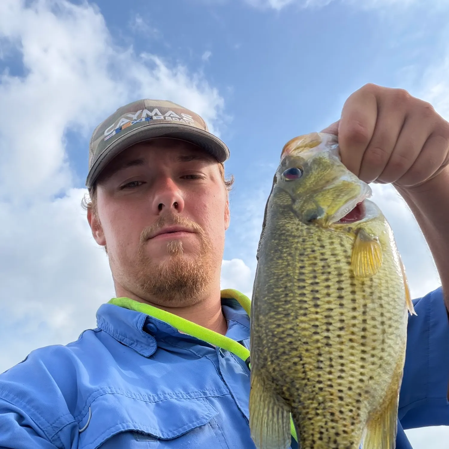 Rock bass caught on Fishbrain