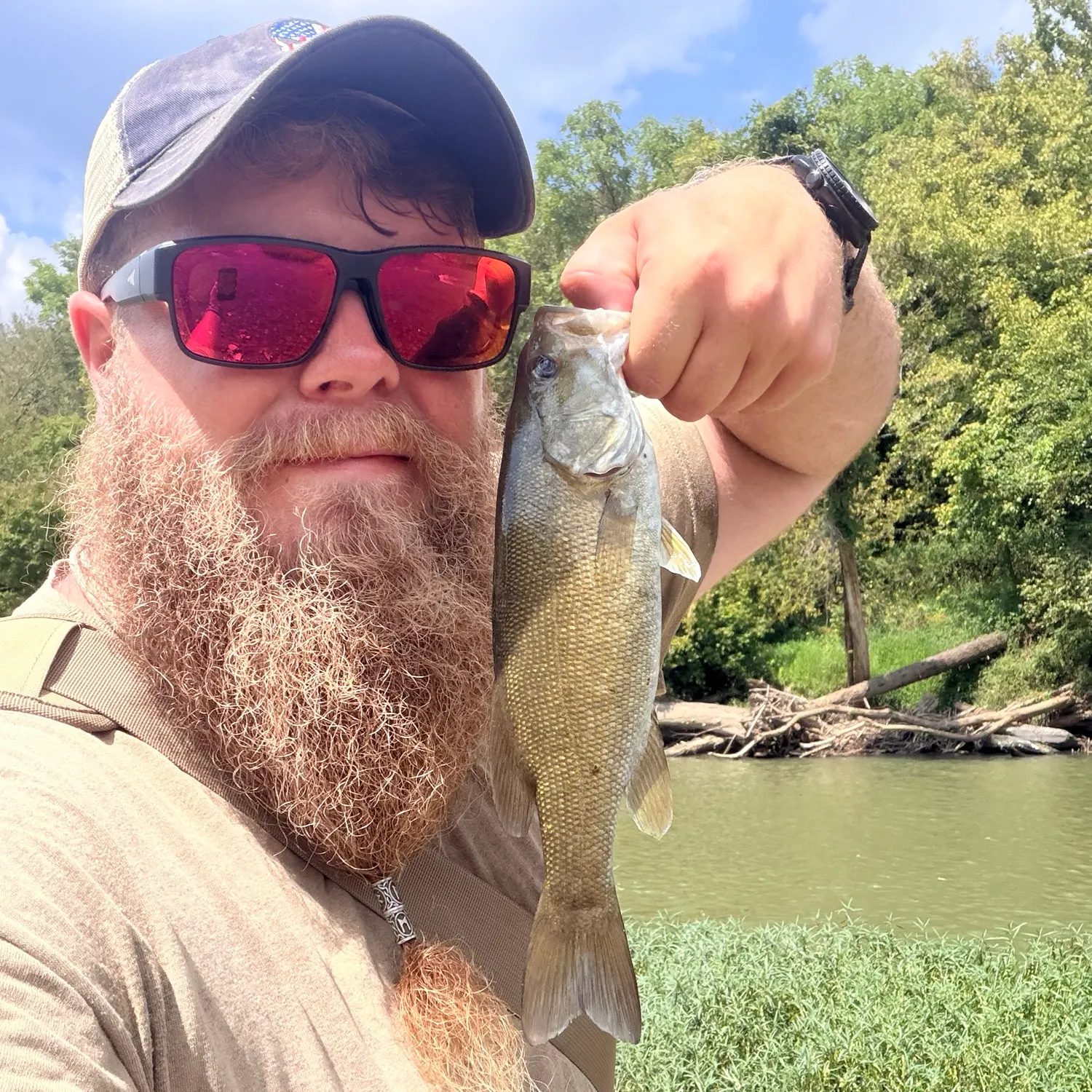 Smallmouth bass caught on Fishbrain