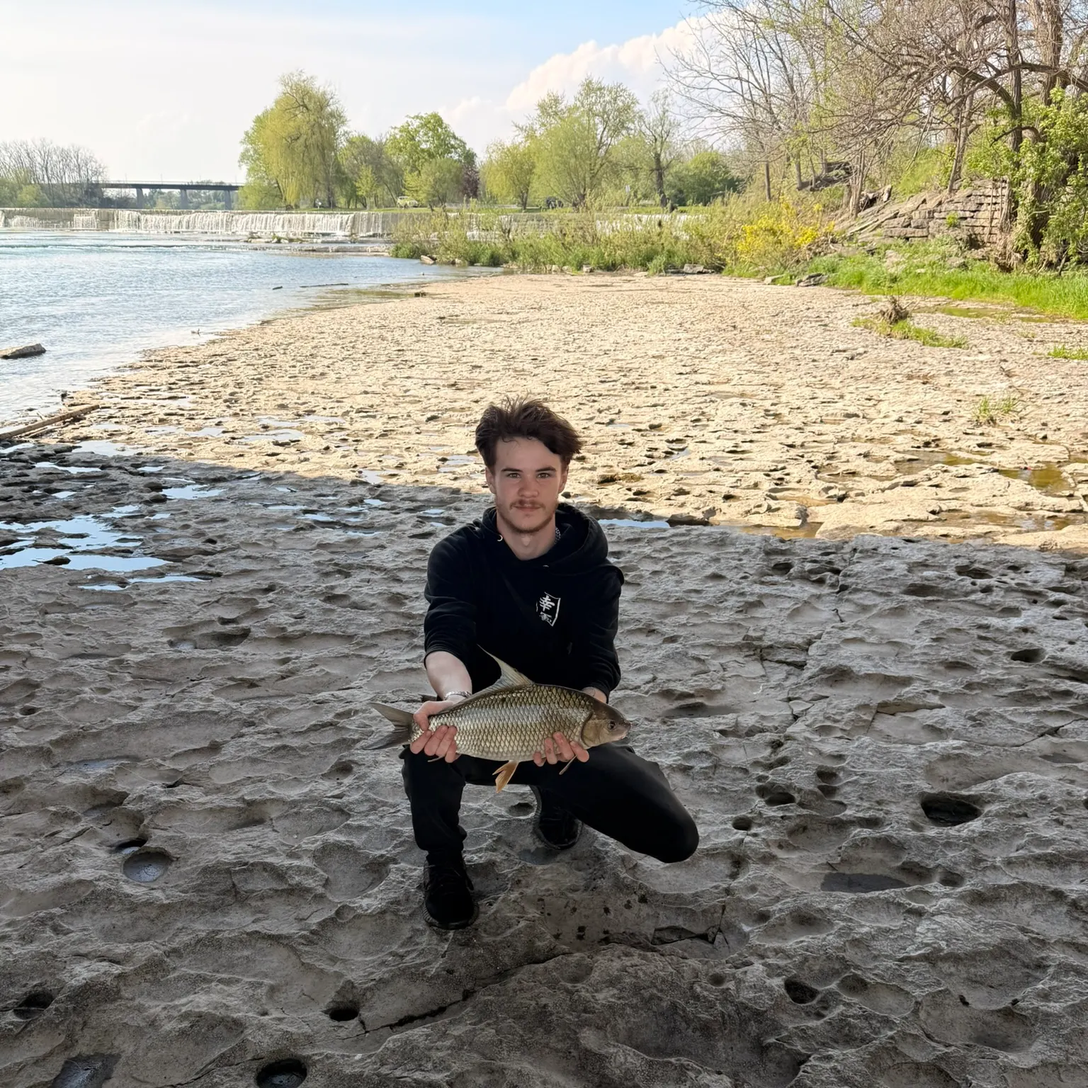The most recent Quillback catches on Fishbrain