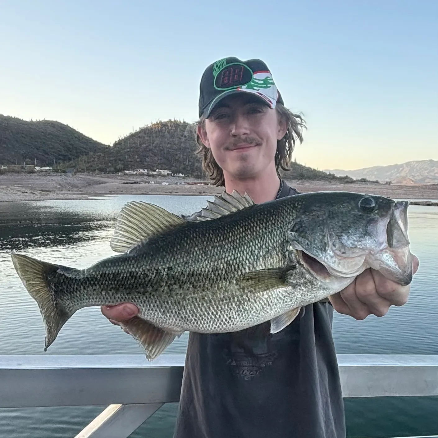 The most recent Largemouth bass catches on Fishbrain