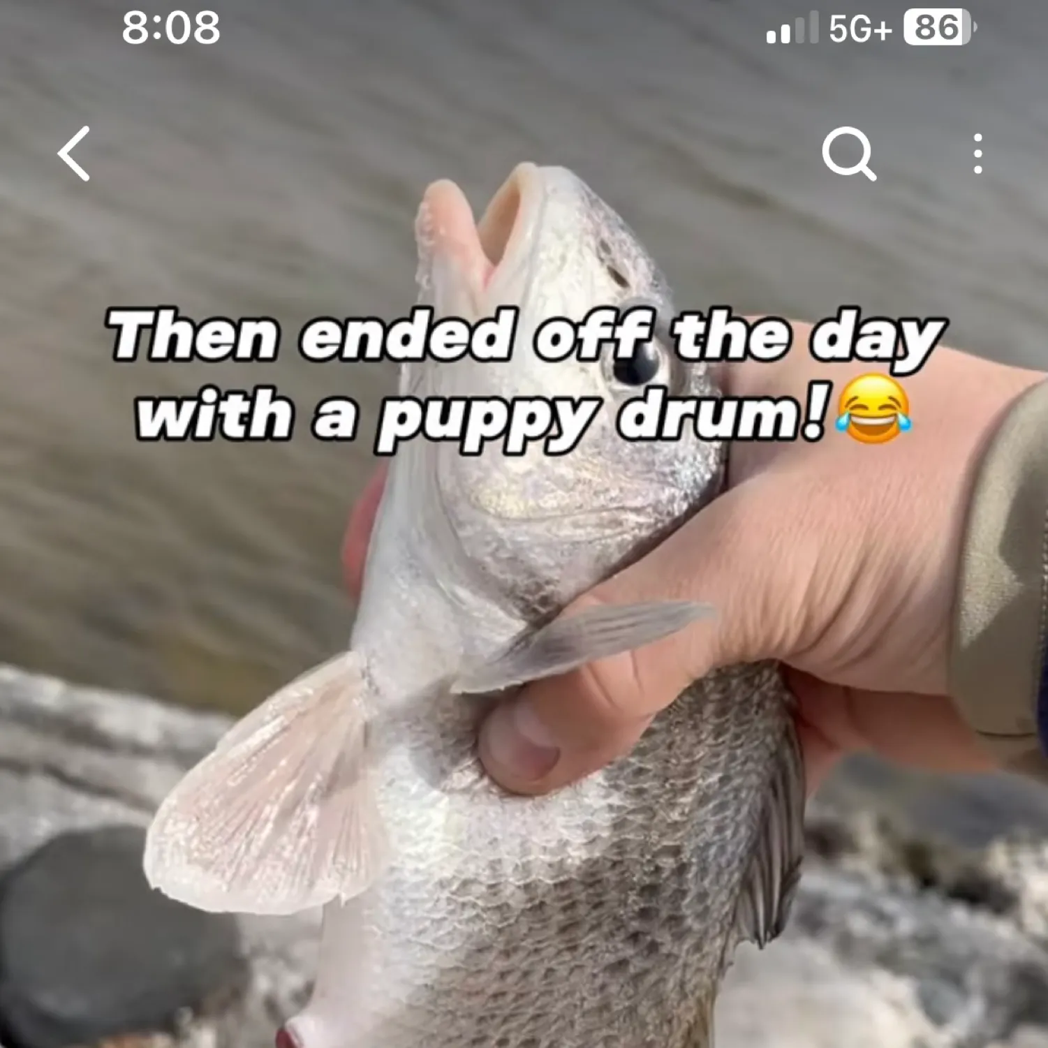 recently logged catches