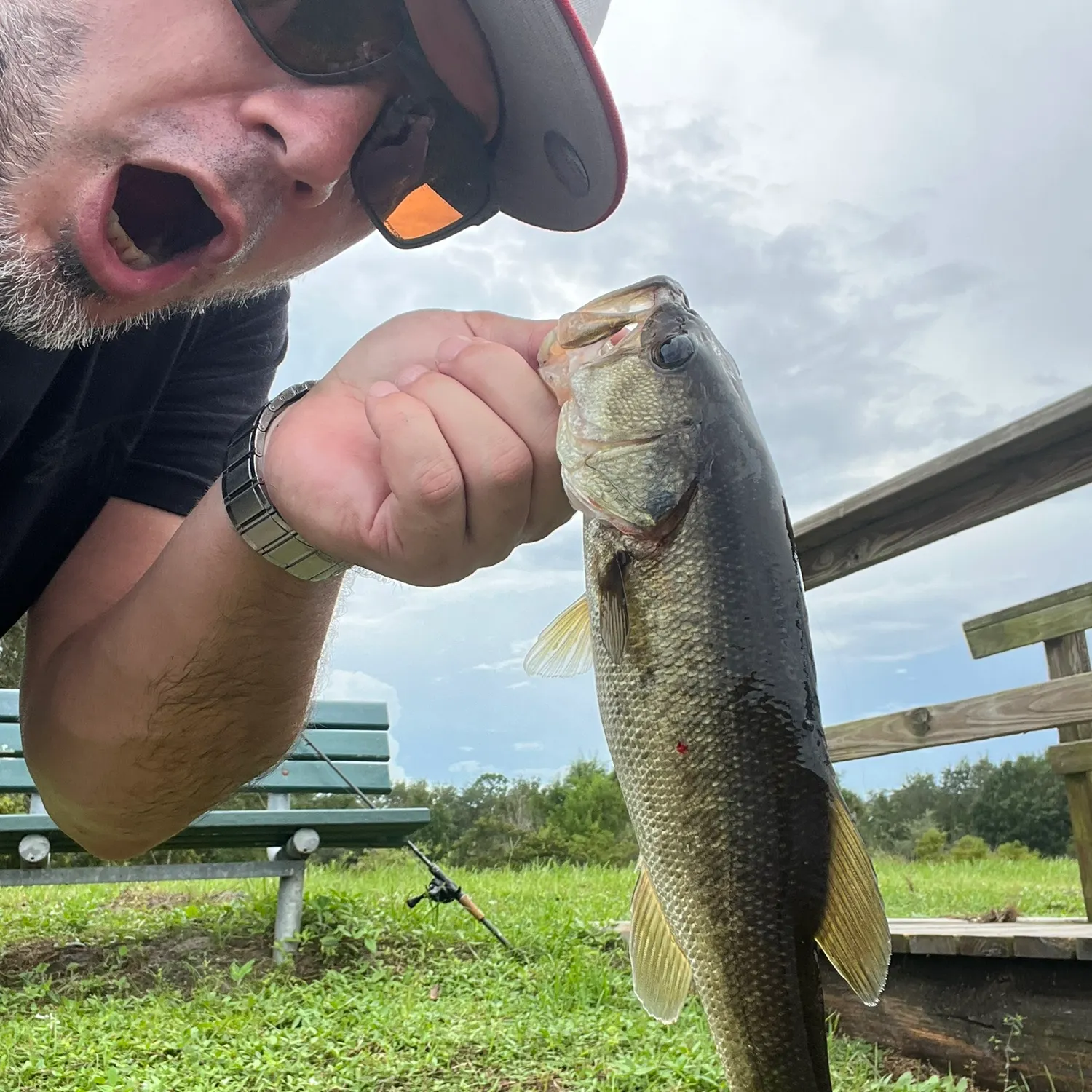 Largemouth bass caught on Fishbrain