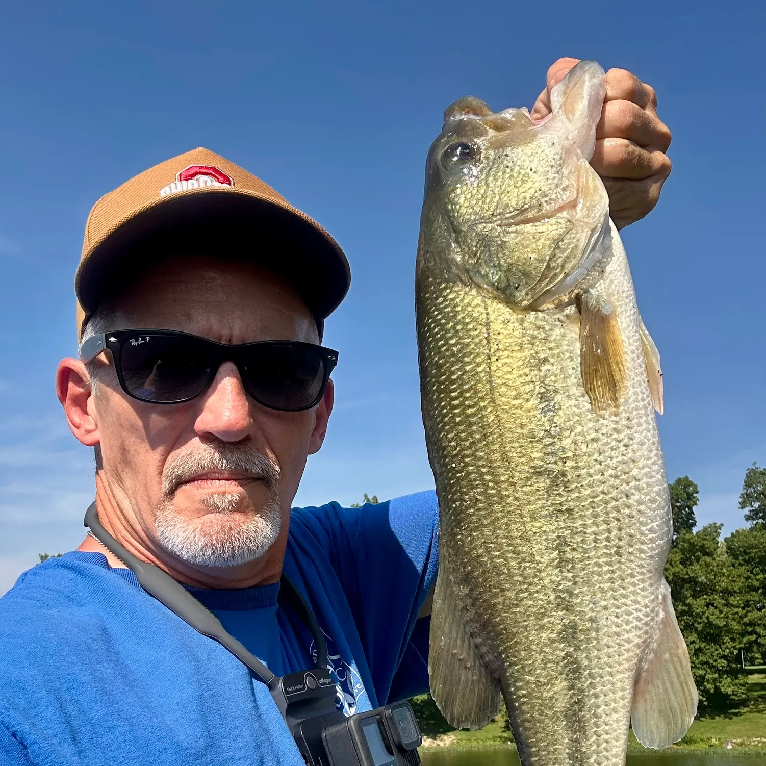 Largemouth bass caught on Fishbrain