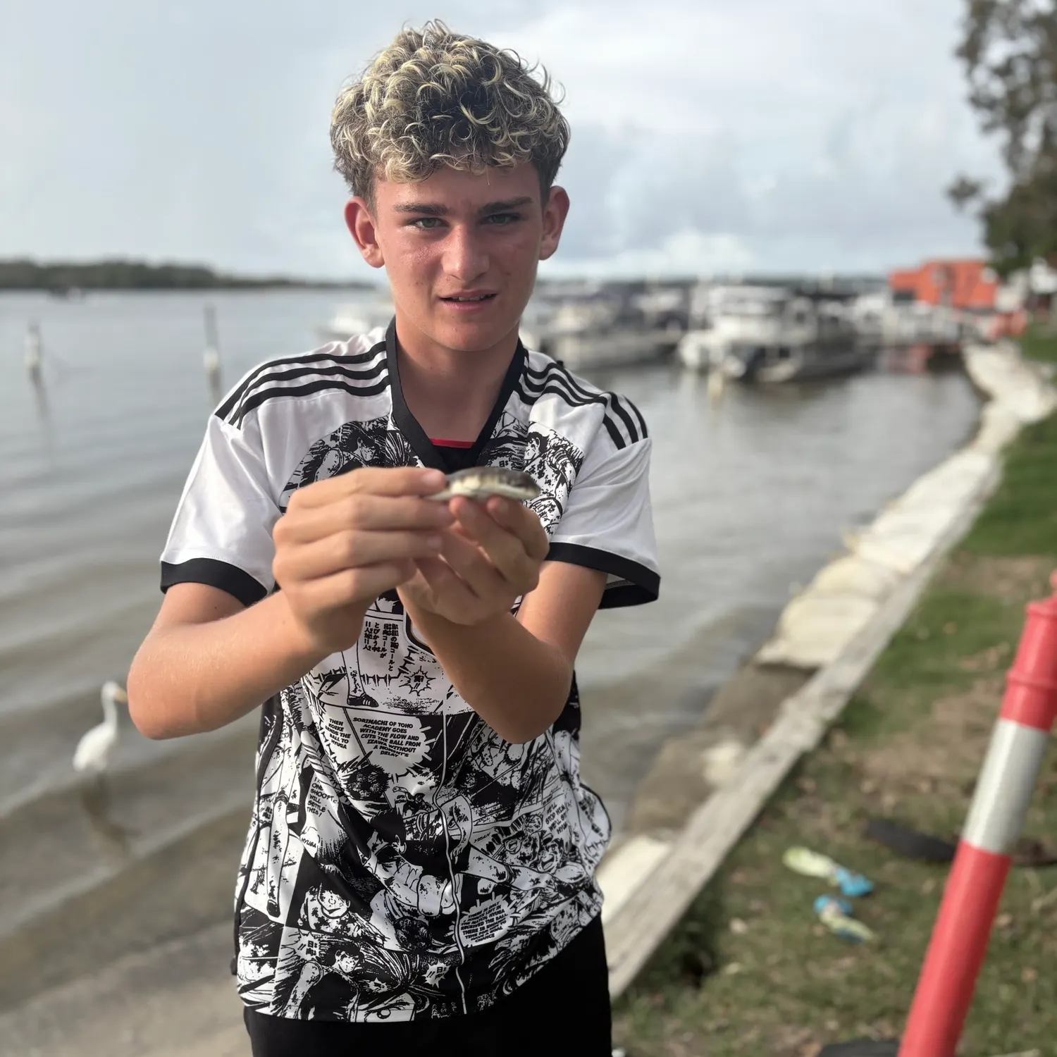 The most recent Common toadfish catches on Fishbrain