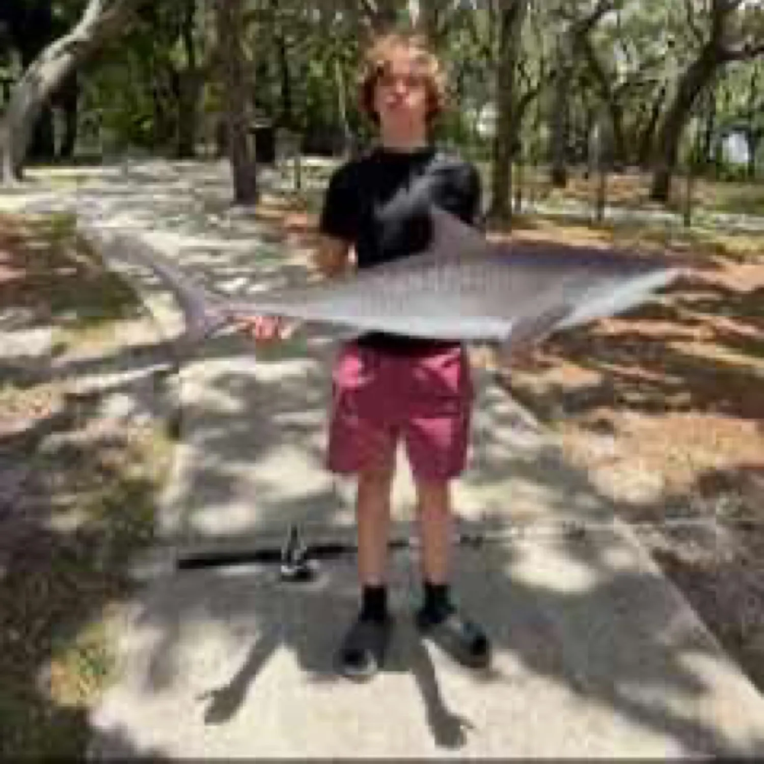 most liked catch image