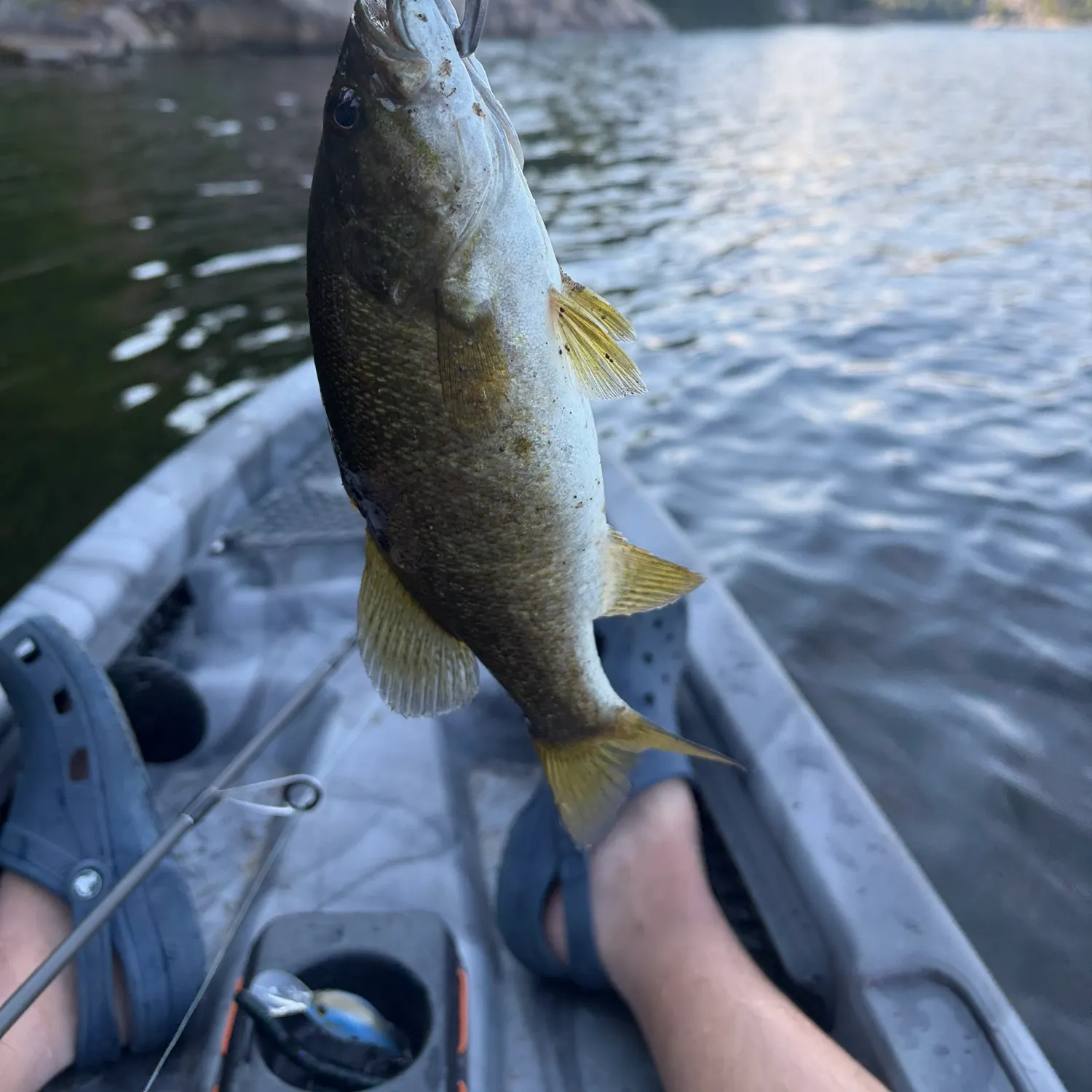 Smallmouth bass caught on Fishbrain