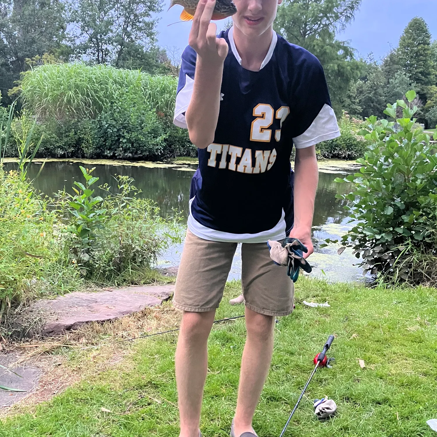 Bluegill caught on Fishbrain