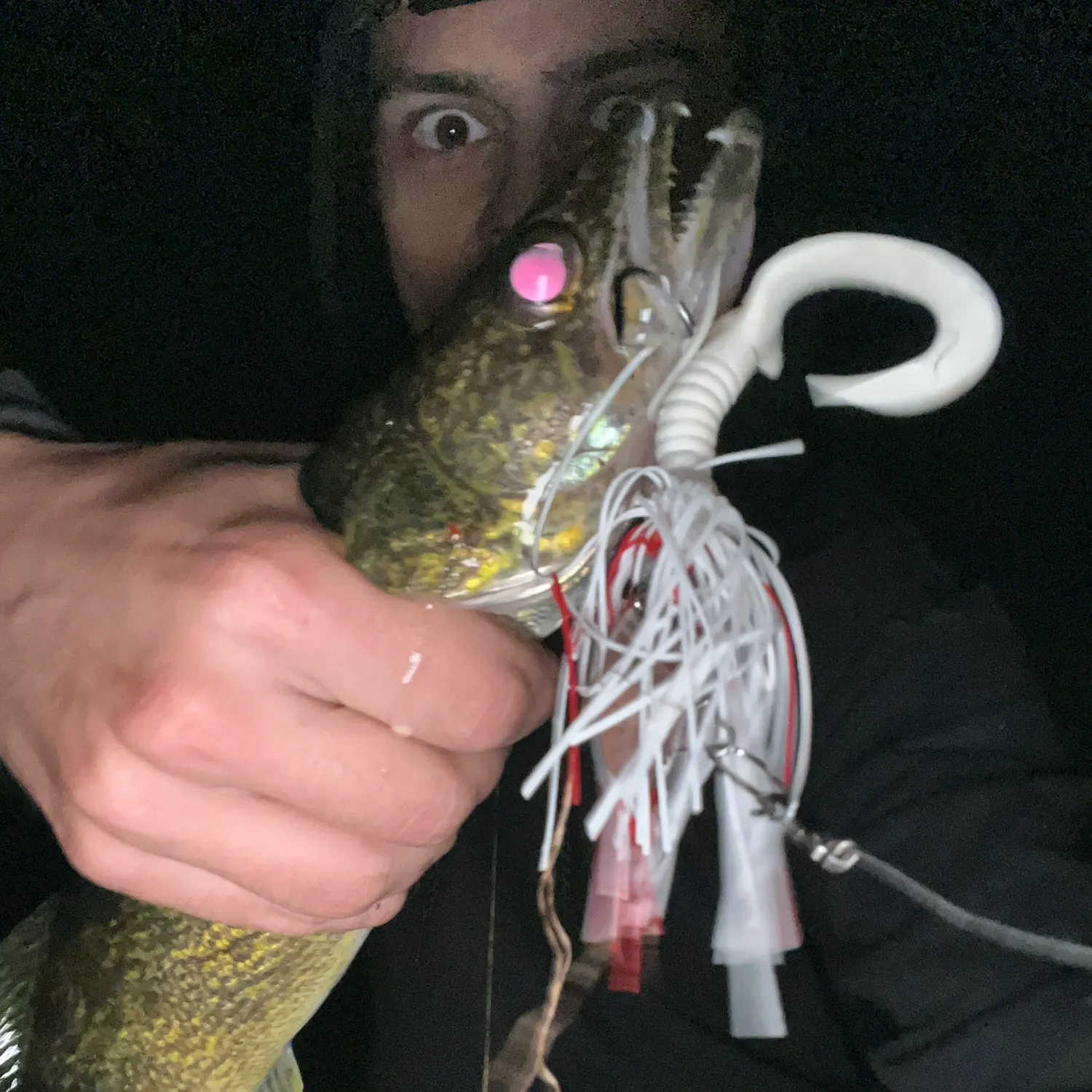 Walleye caught on Fishbrain