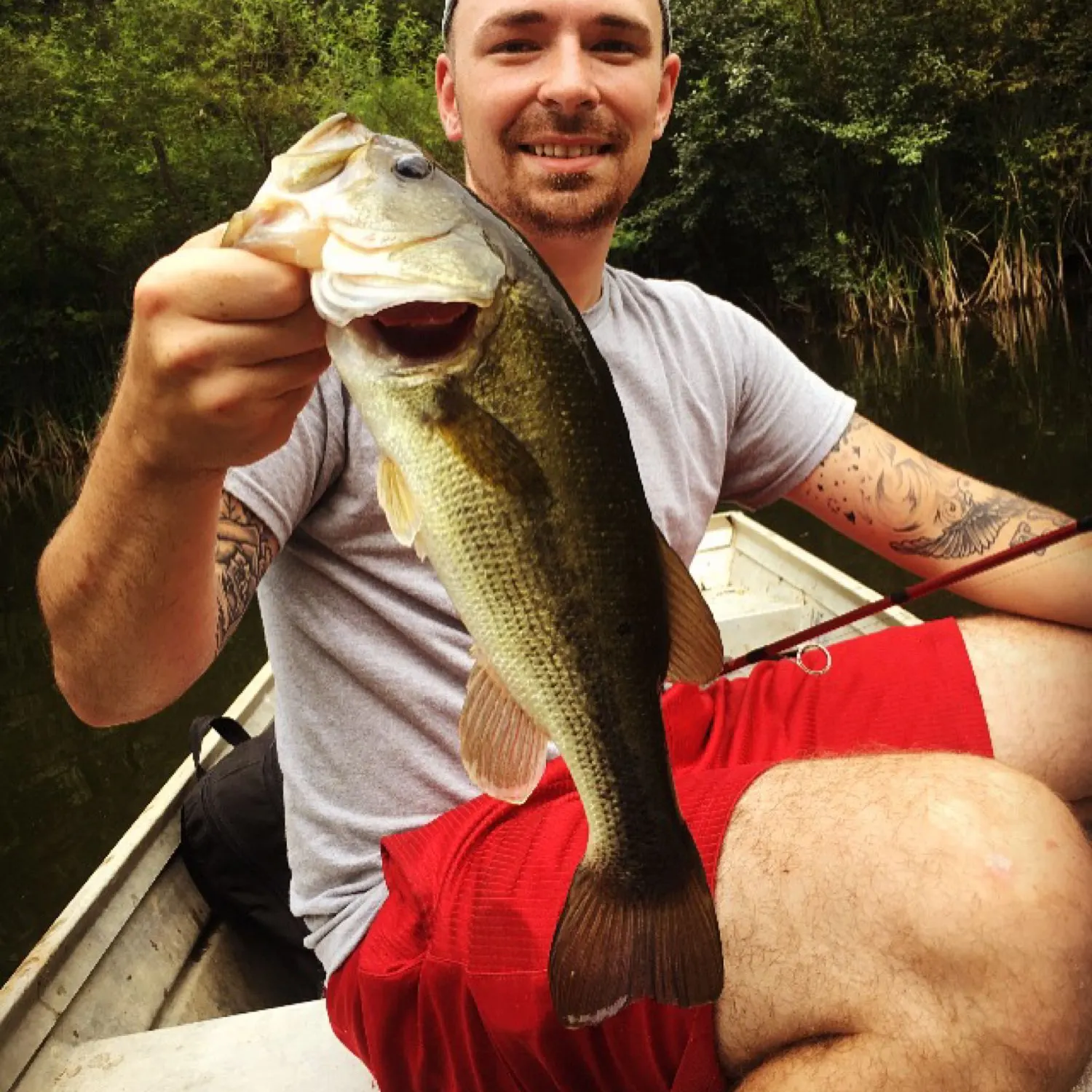 angler catch