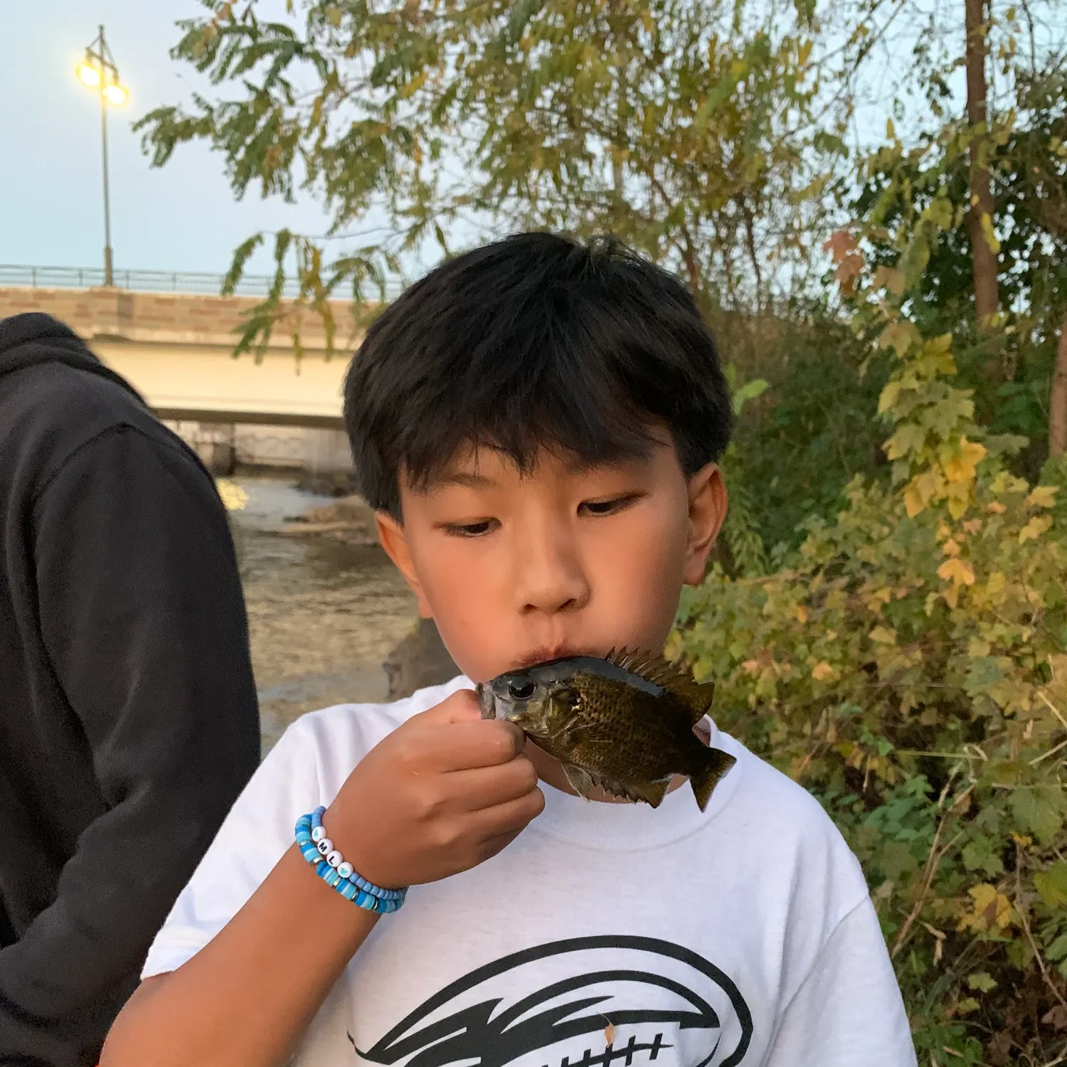 The most recent Rock bass catches on Fishbrain