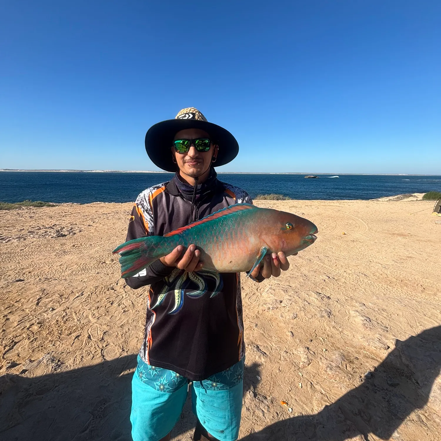 The most recent Tricolour parrotfish catches on Fishbrain