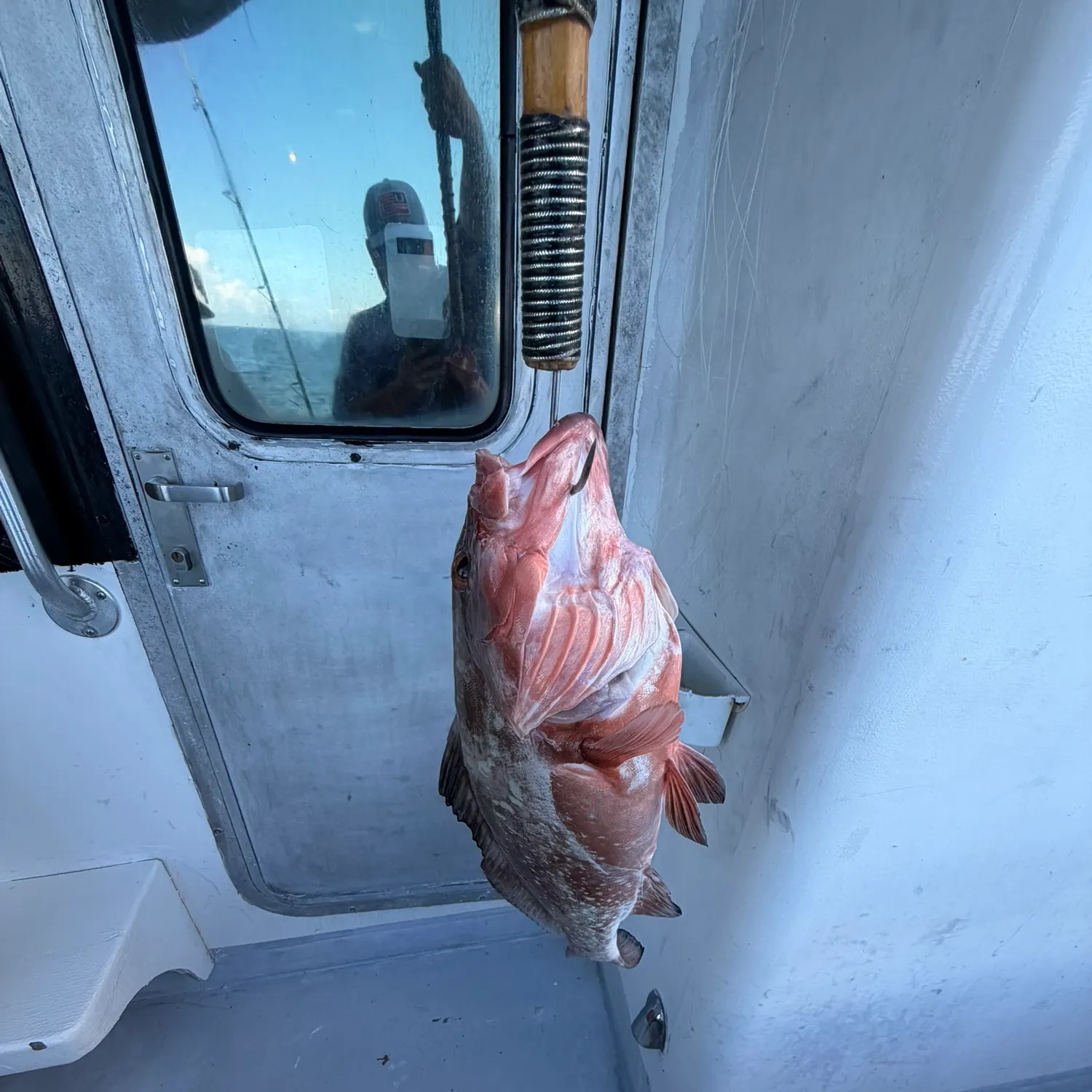 Red grouper caught on Fishbrain