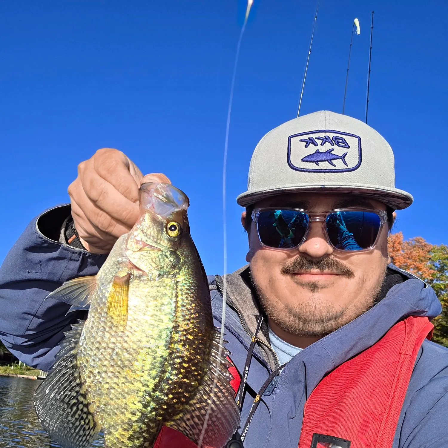 Black crappie caught on Fishbrain
