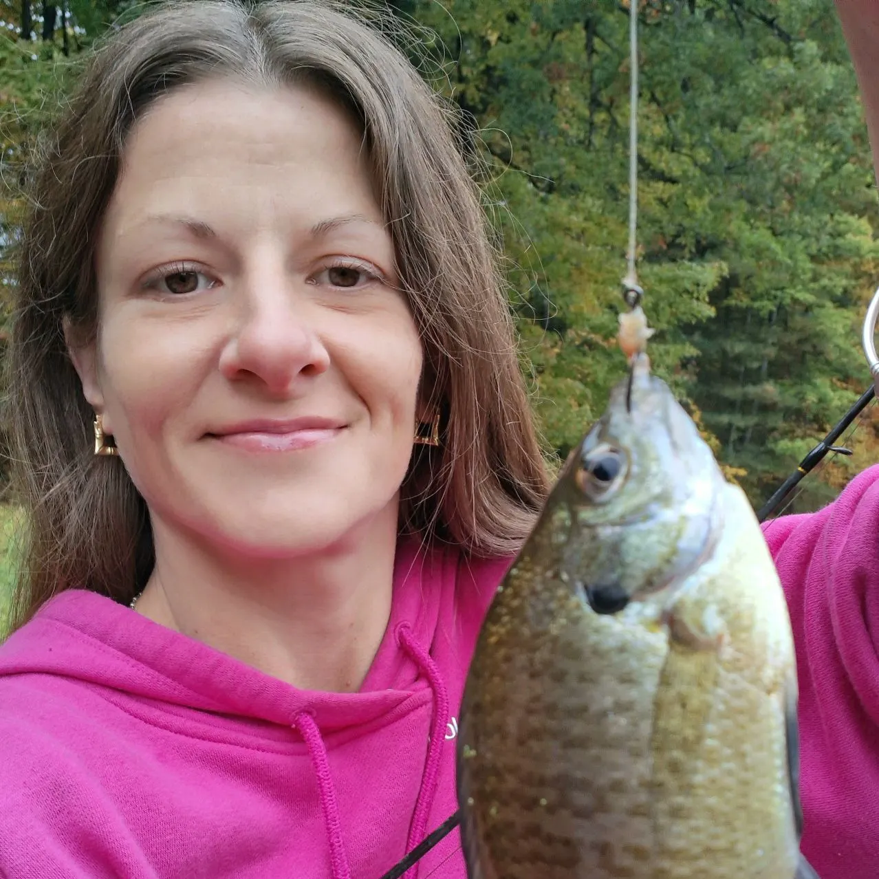 Bluegill caught on Fishbrain